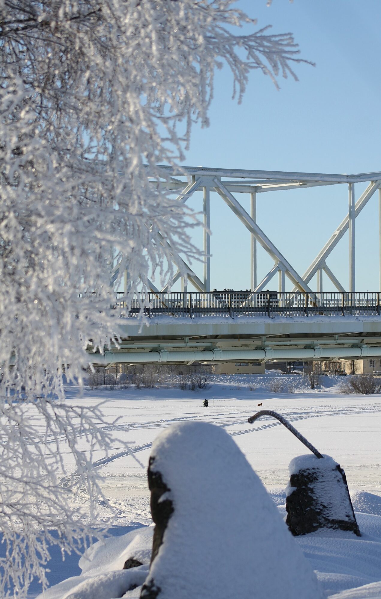 Valokuvaaja: Pirkko Siukonen