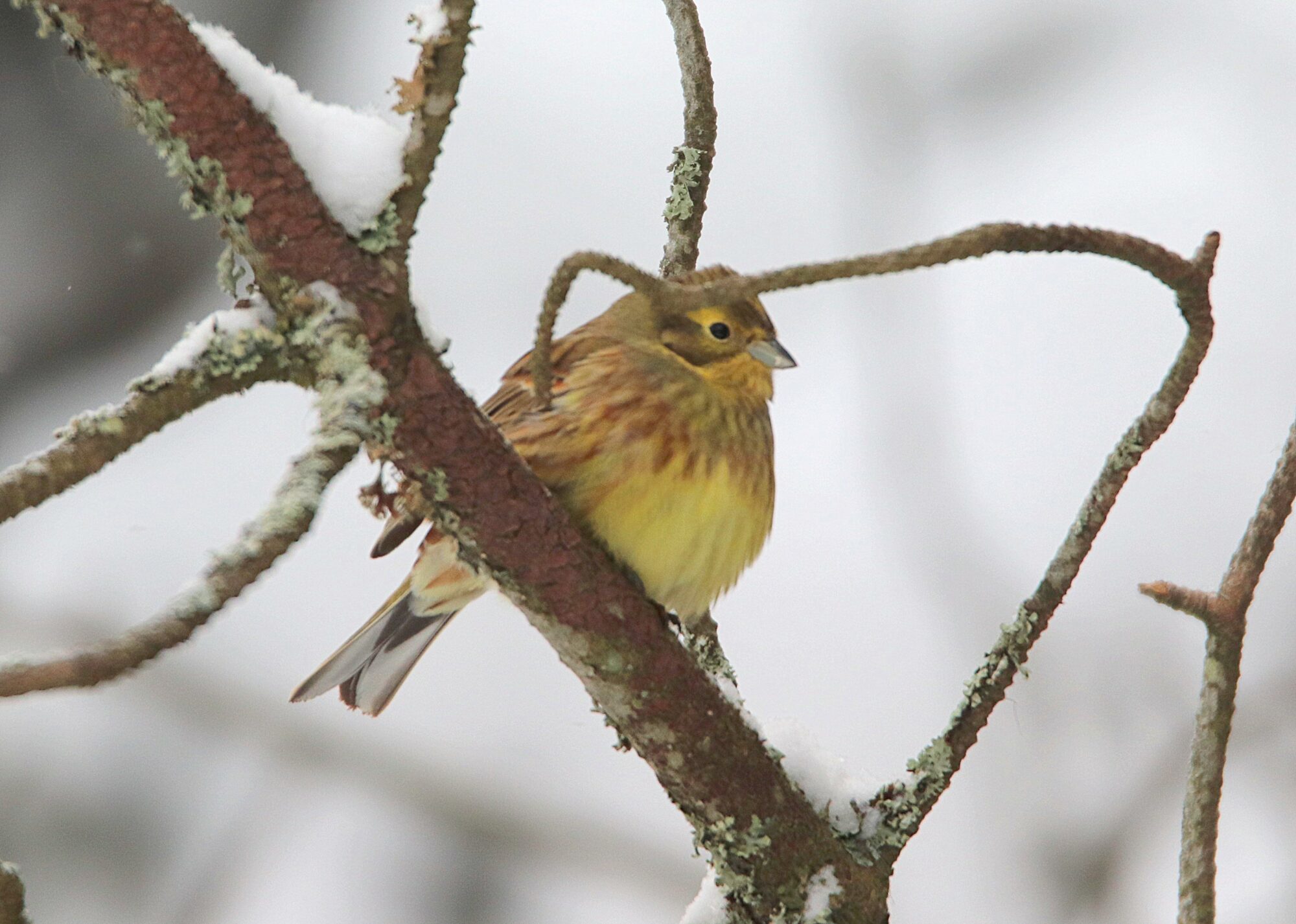 Valokuvaaja: Irja Lehtinen