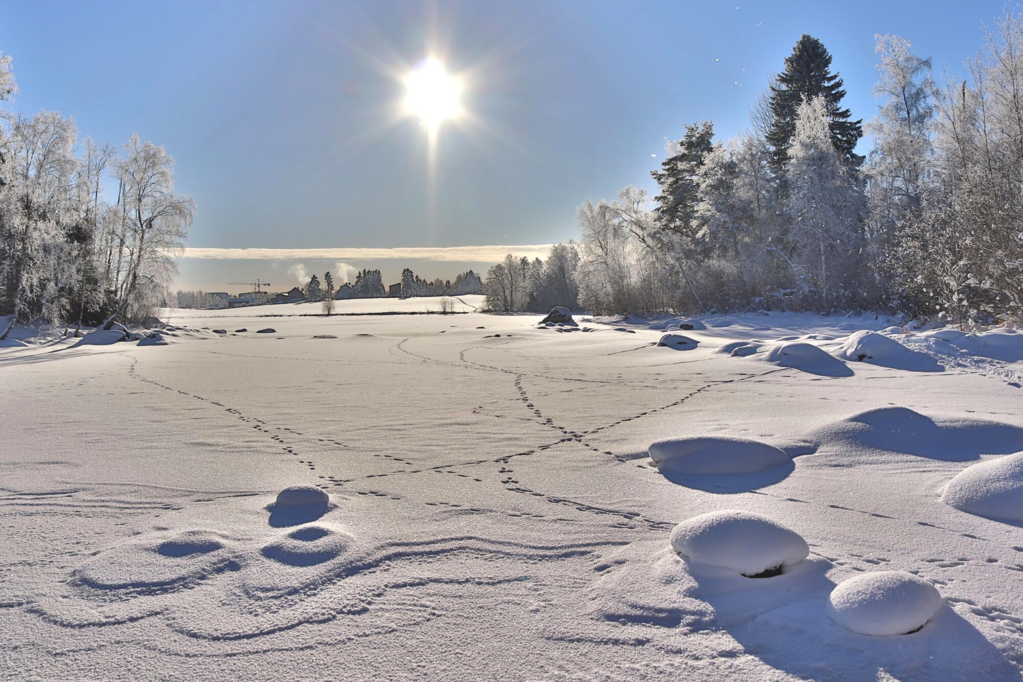 Valokuvaaja: Irja Lehtinen