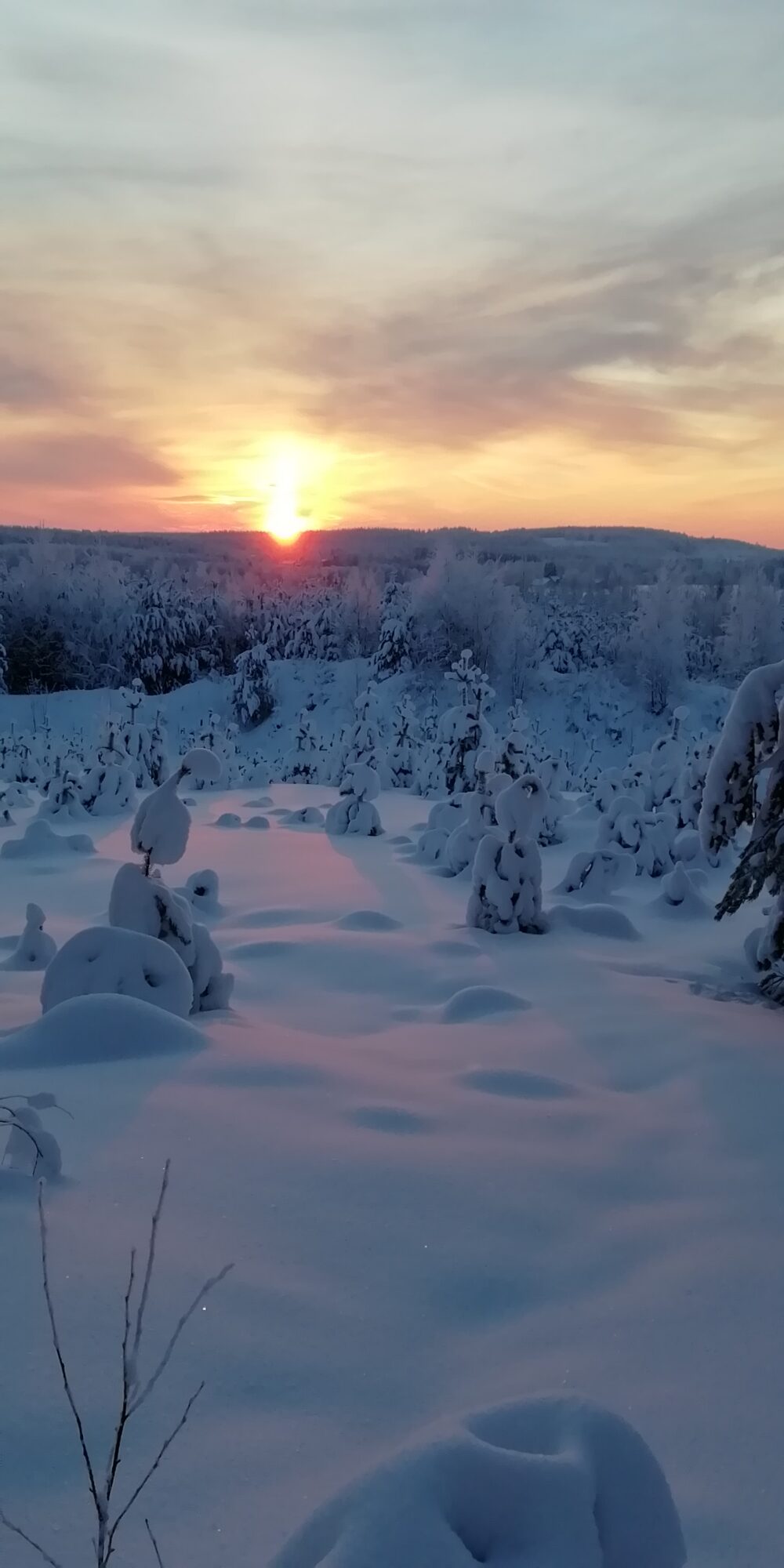 Valokuvaaja: Sari Viemerö