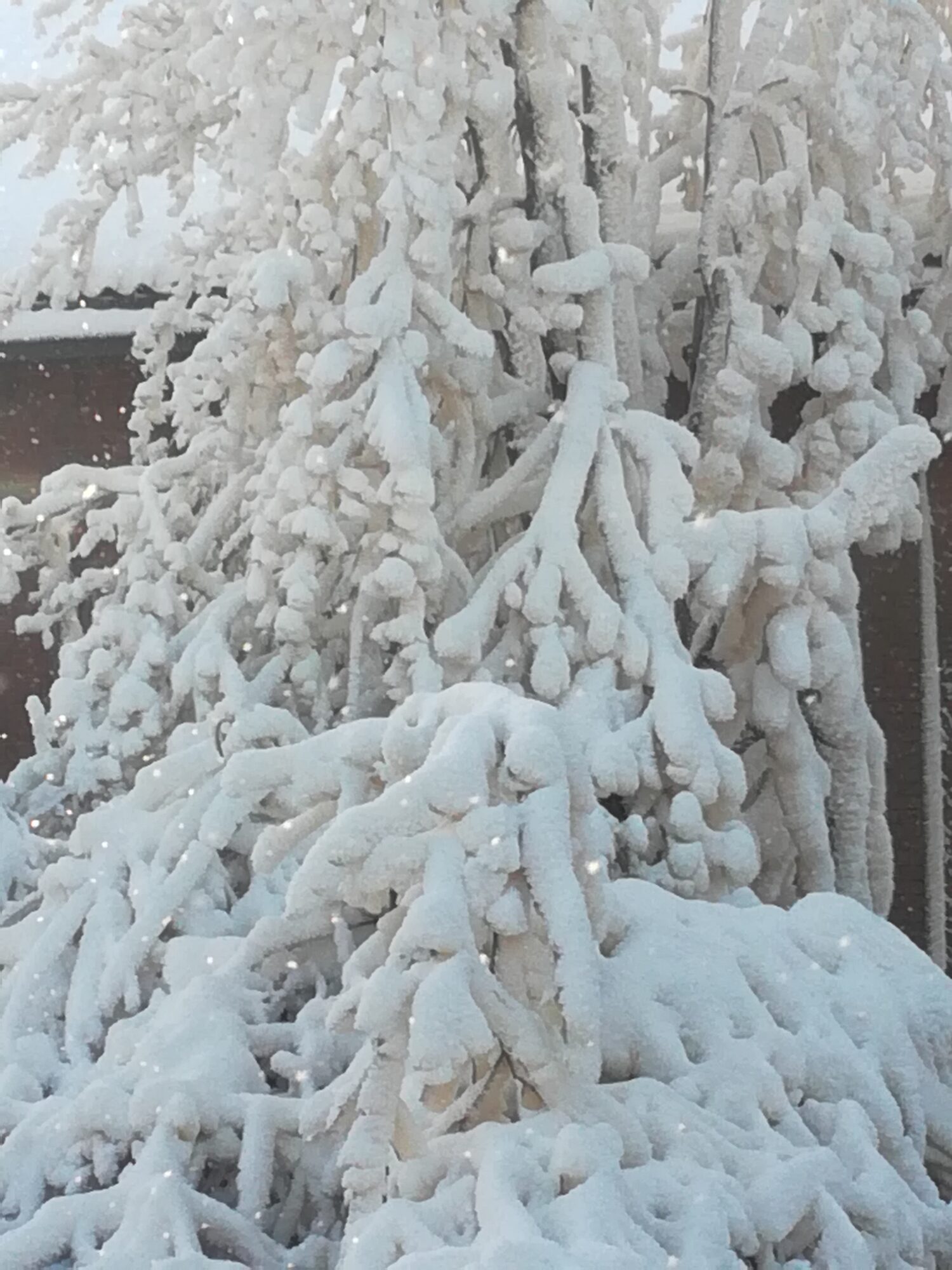 Valokuvaaja: Marketta Kokko