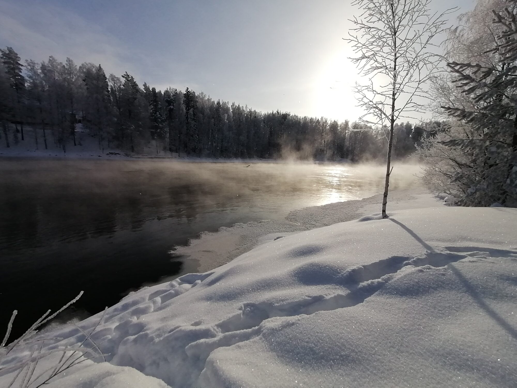 Valokuvaaja: Kaija Halonen