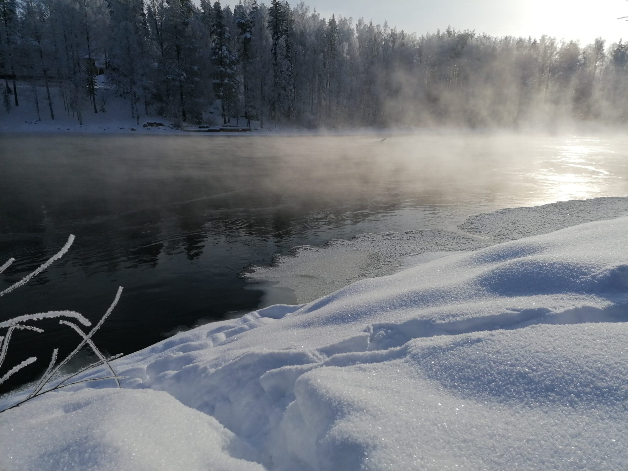 Valokuvaaja: Kaija Halonen