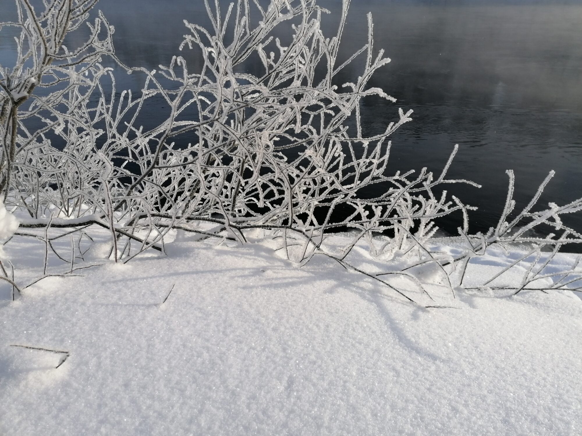 Valokuvaaja: Kaija Halonen