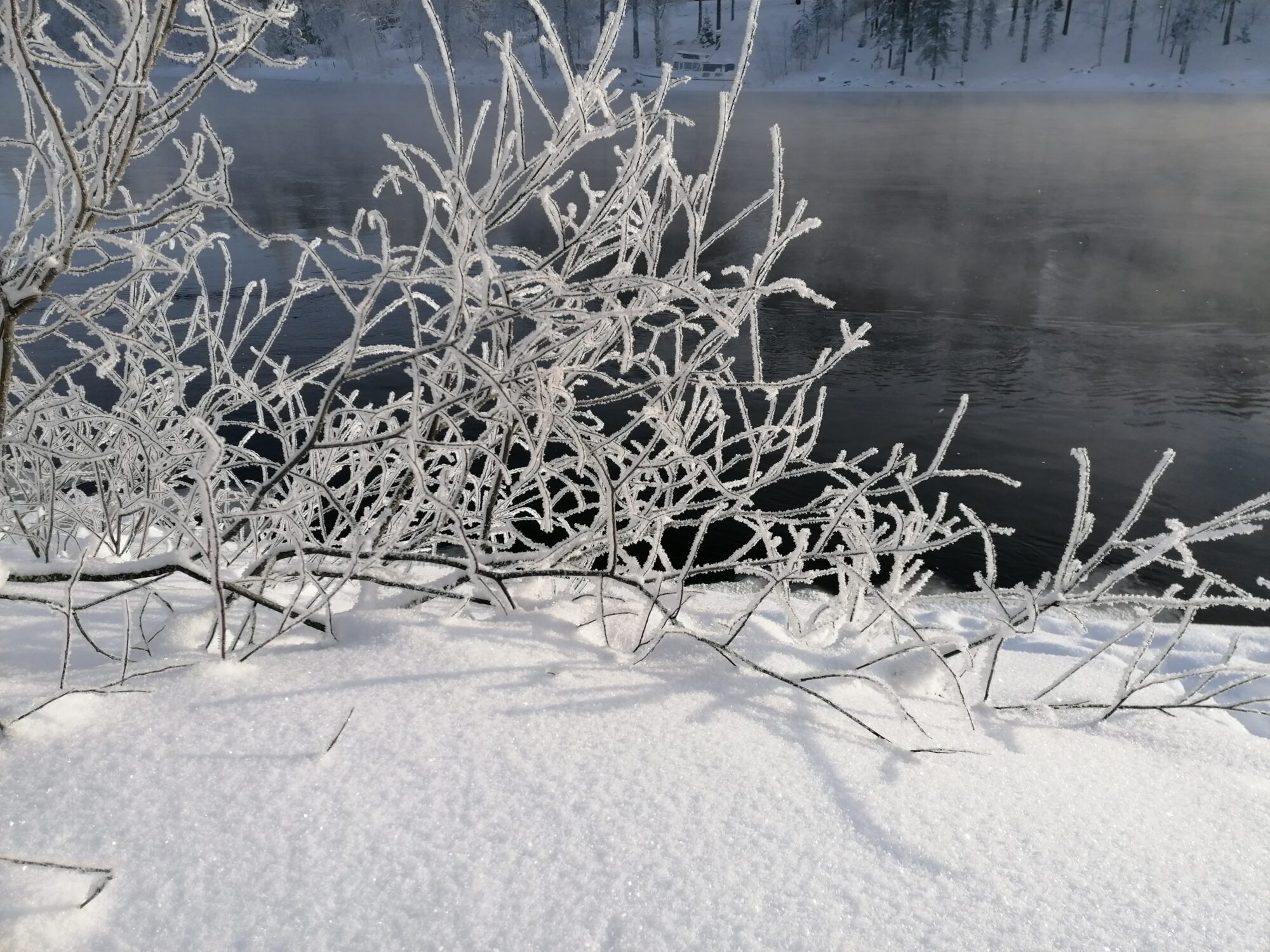 Valokuvaaja: Kaija Halonen