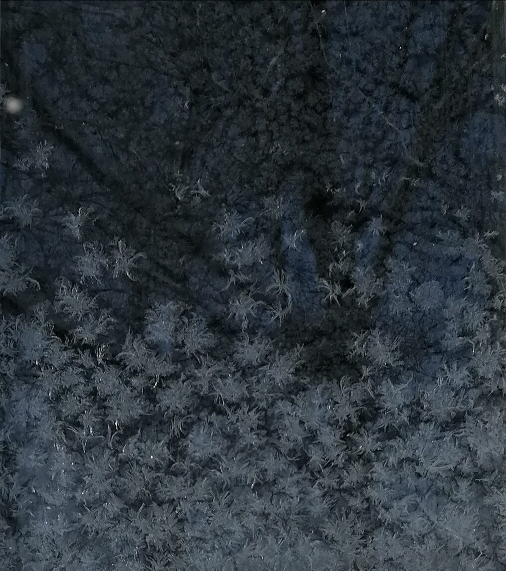 Valokuvaaja: Kaija Halonen