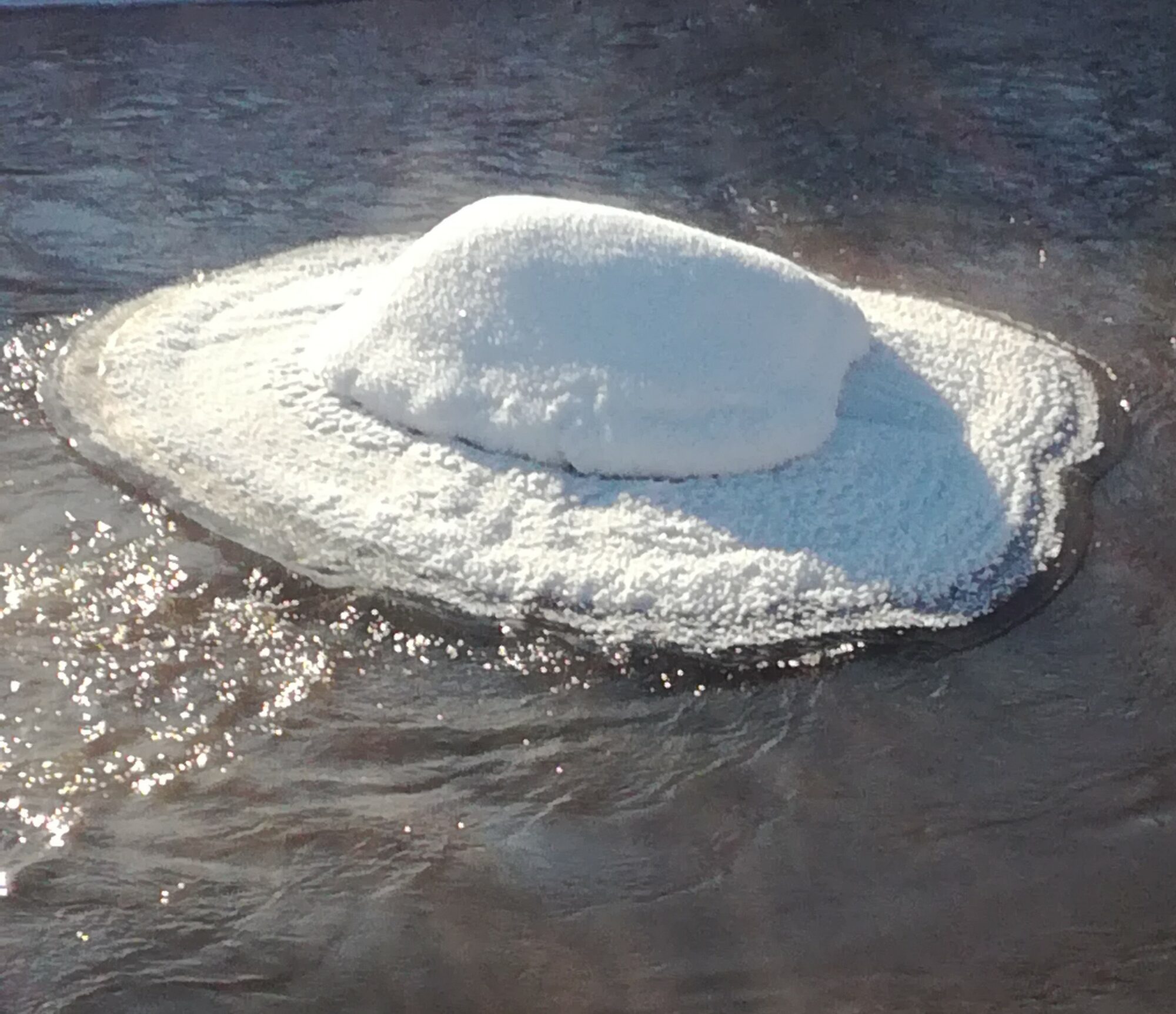 Valokuvaaja: Marketta Kokko