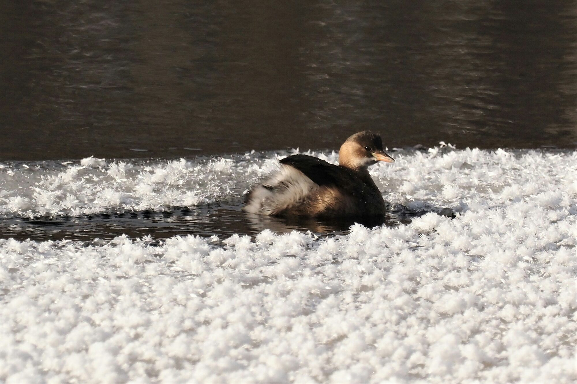Valokuvaaja: Irma Mikkola