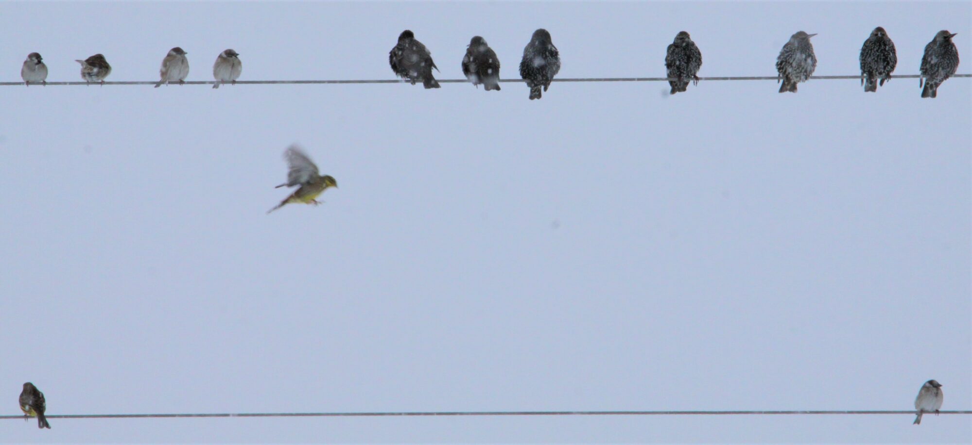 Valokuvaaja: Kaarina Heiskanen