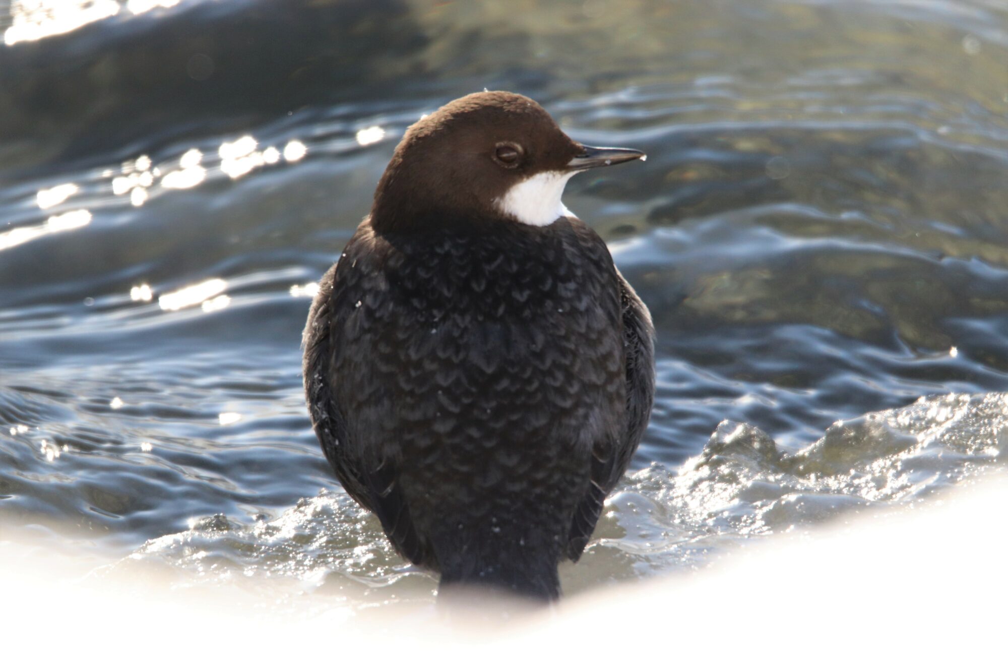 Valokuvaaja: Irja Lehtinen