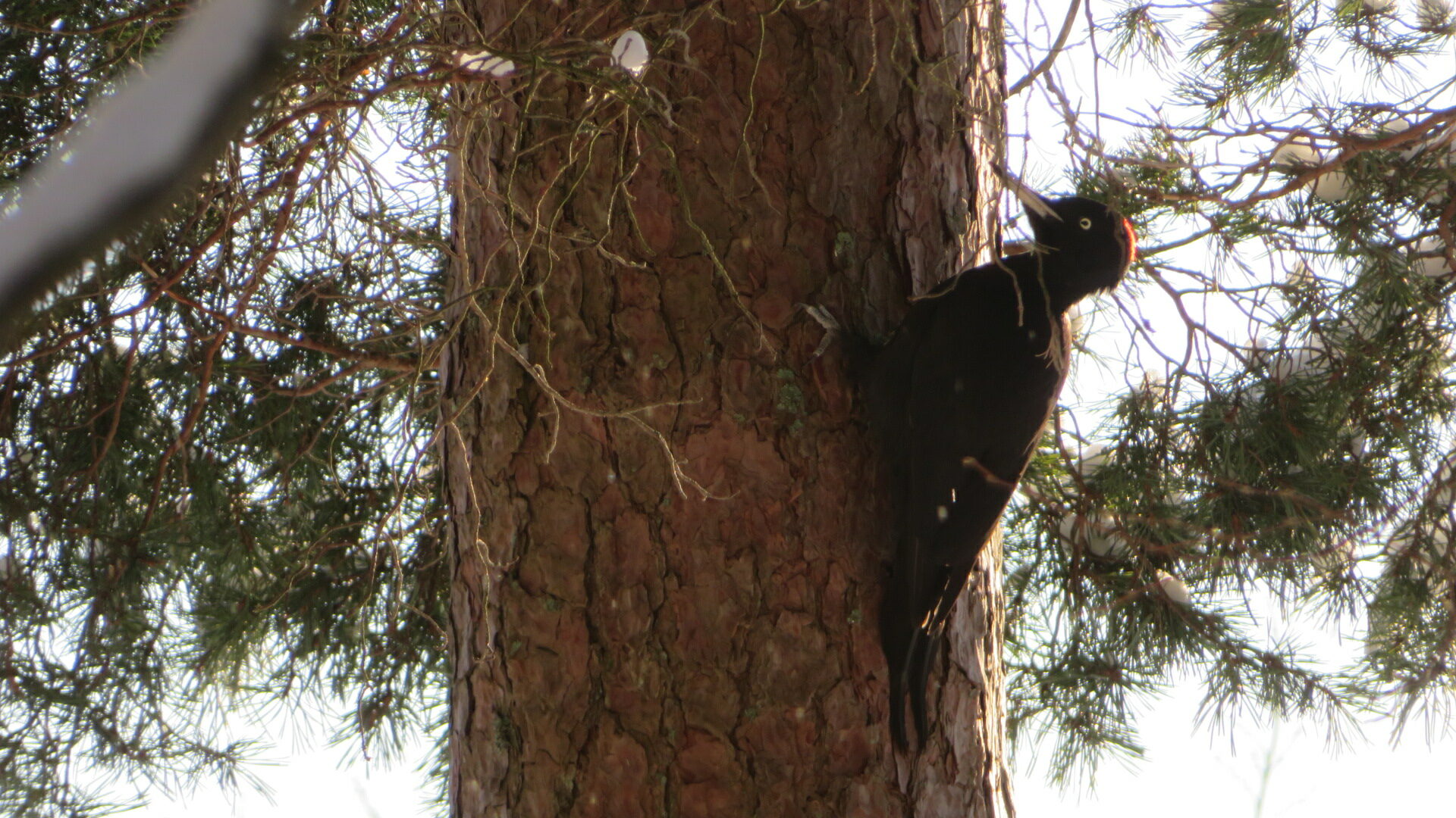 Valokuvaaja: Risto Kangassalo