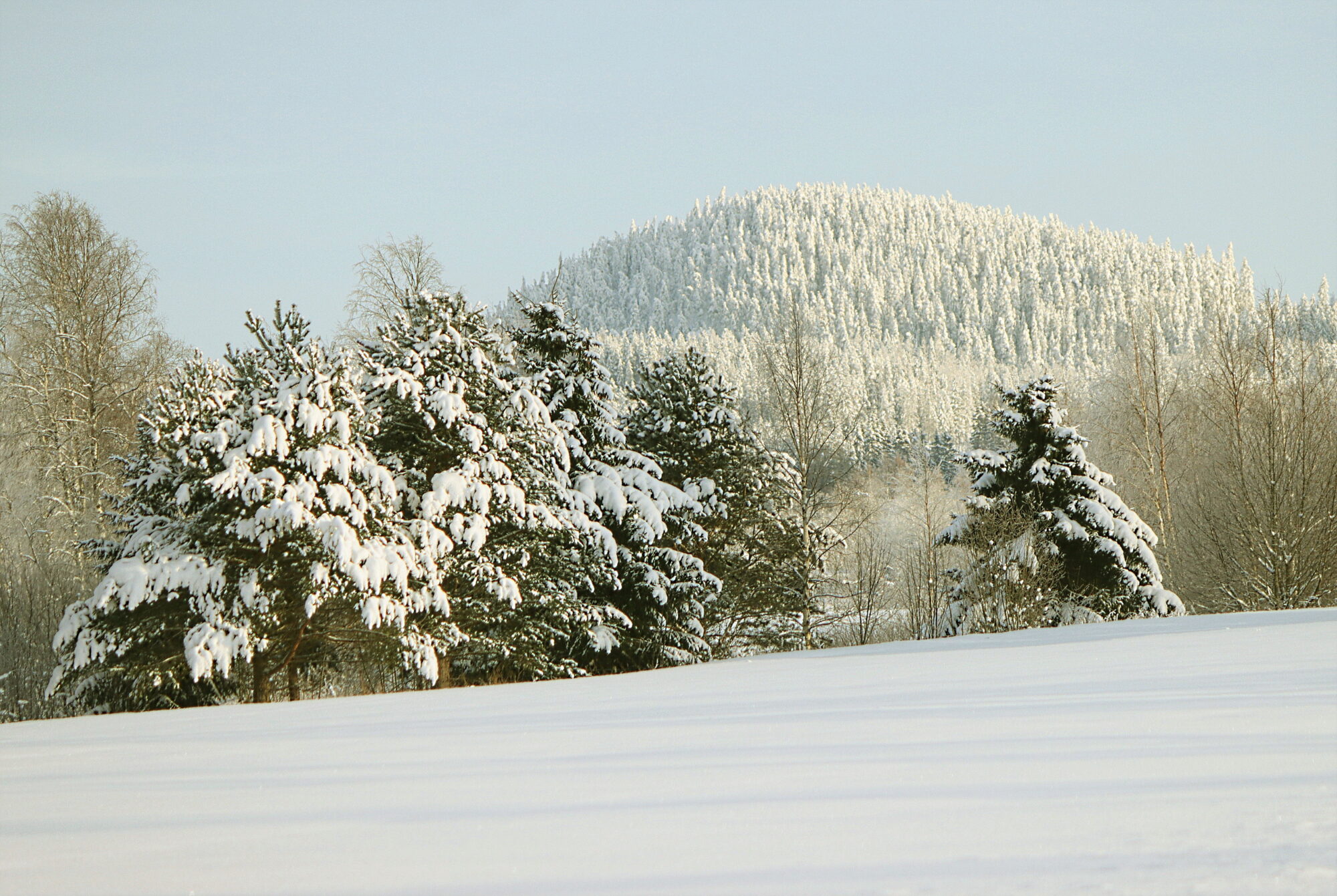 Valokuvaaja: Ritva Nieminen