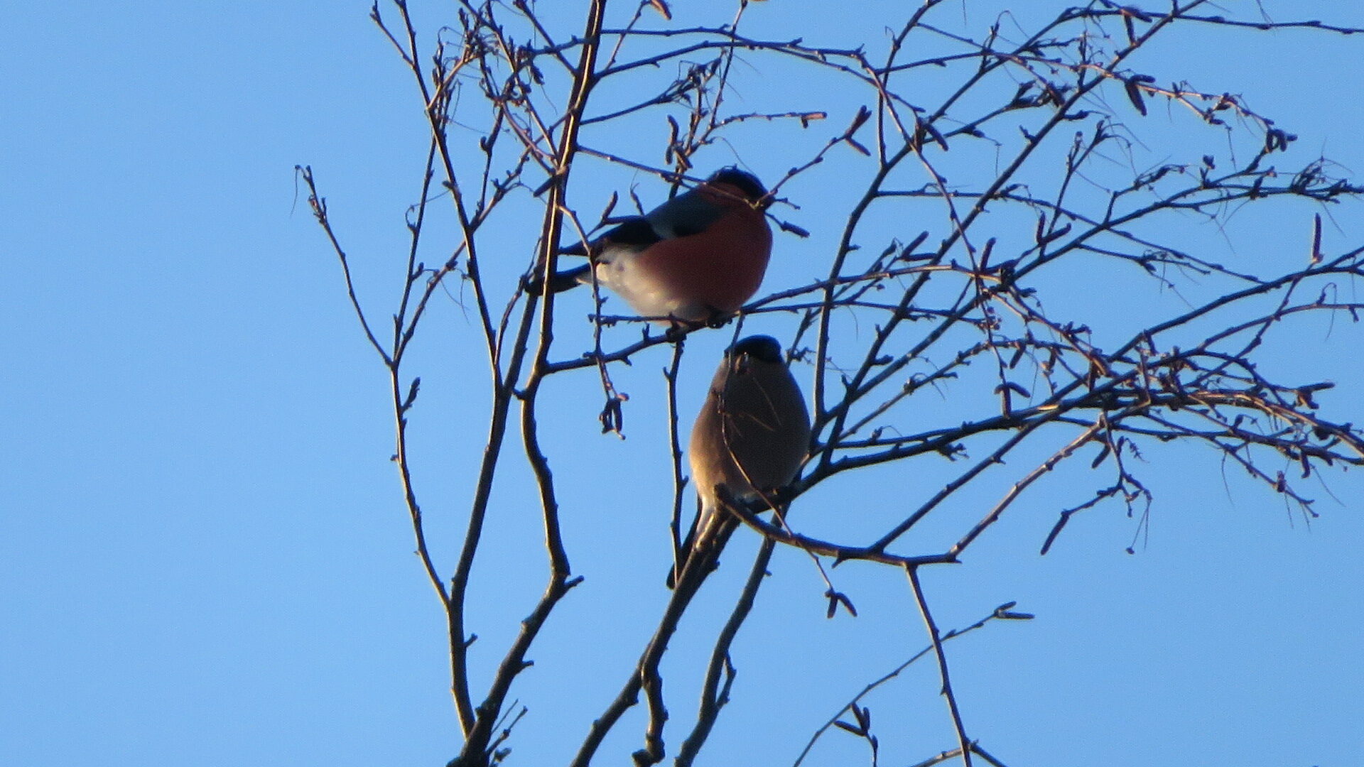 Valokuvaaja: Risto Kangassalo