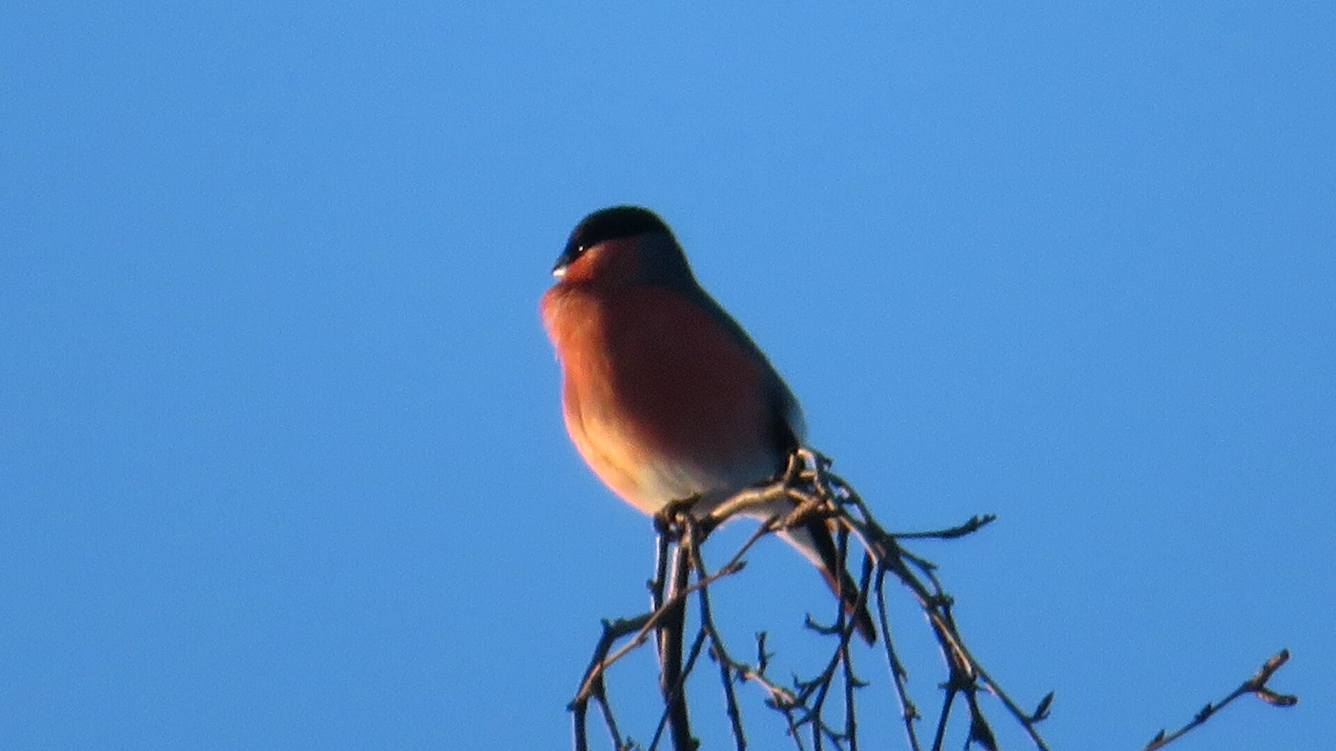 Valokuvaaja: Risto Kangassalo