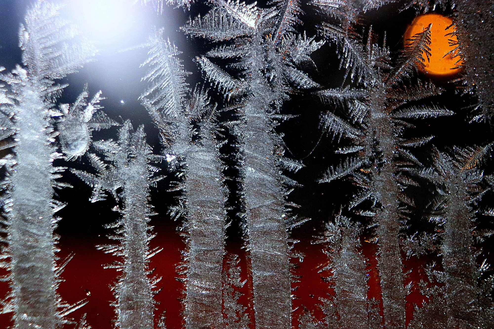 Valokuvaaja: Irja Lehtinen