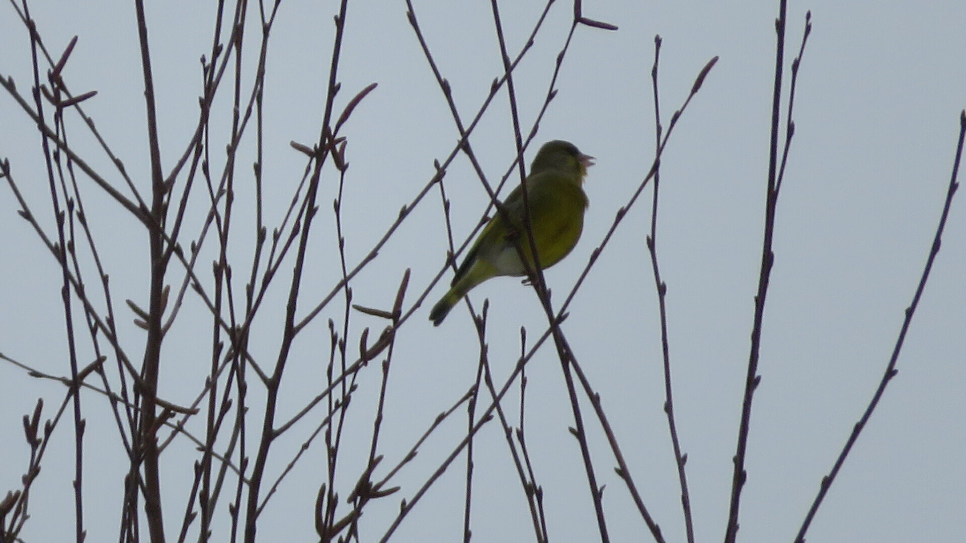 Valokuvaaja: Risto Kangassalo
