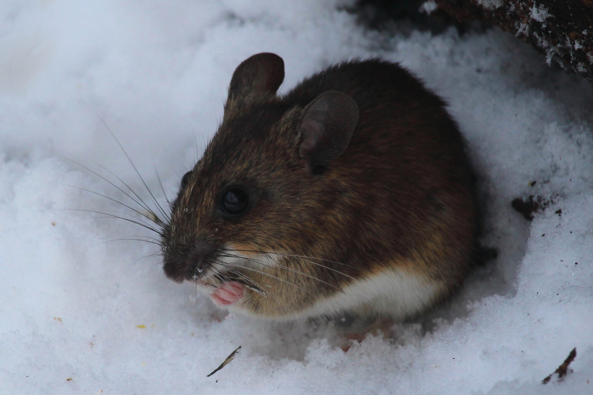 Valokuvaaja: Kirsi-Marja Joenpolvi