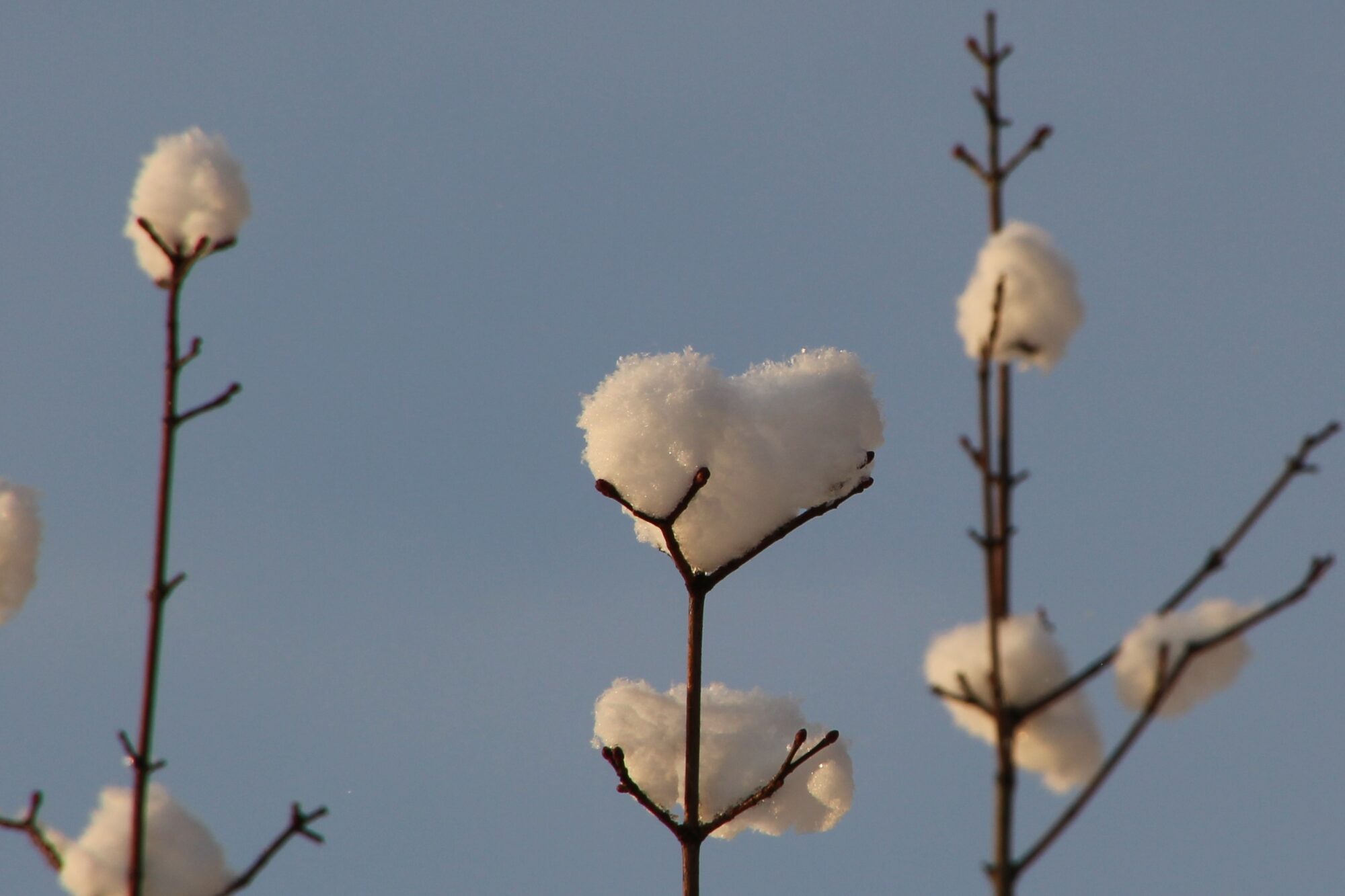 Valokuvaaja: Tiina Laihanen