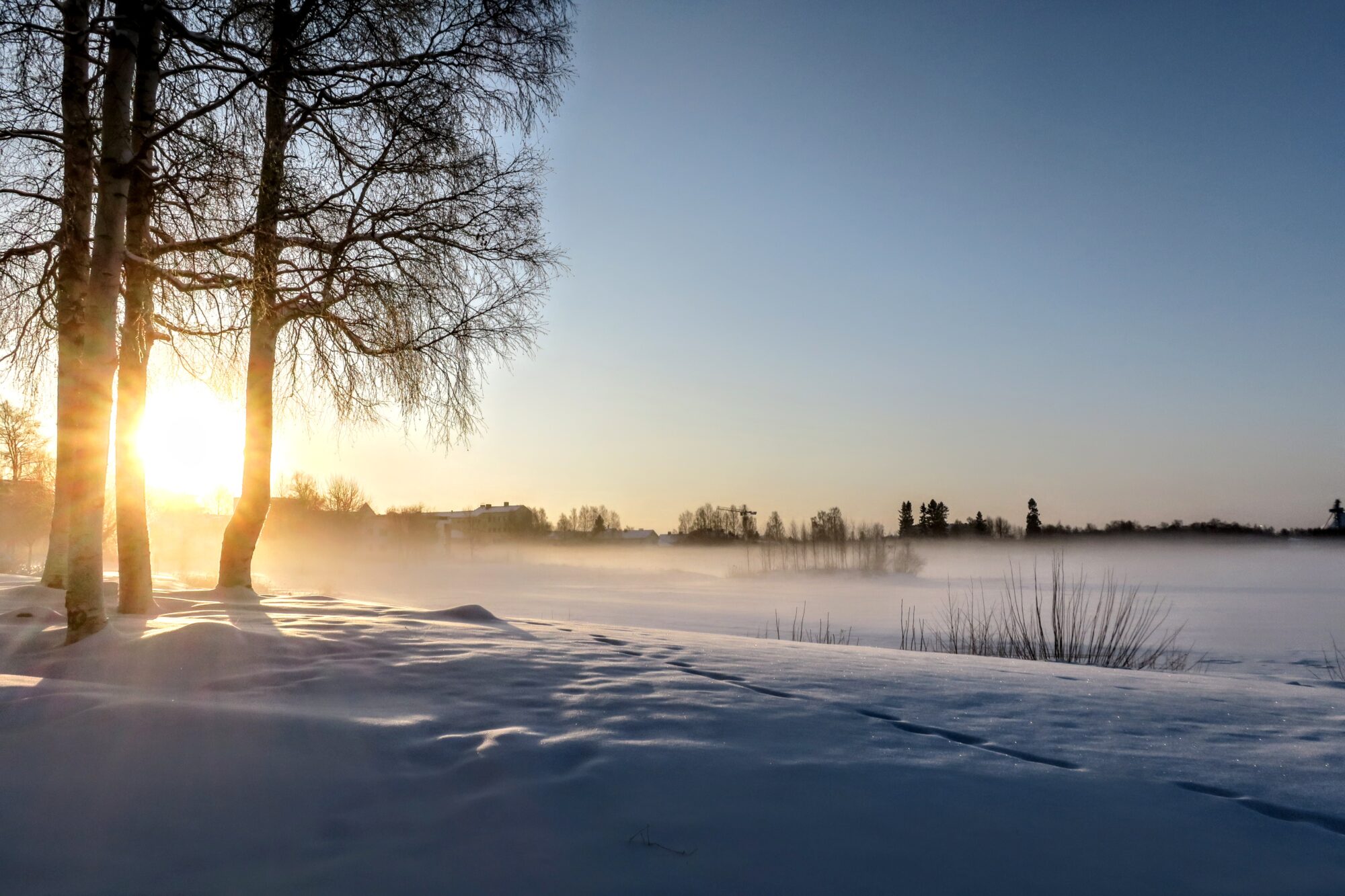 Valokuvaaja: Tuulia Ristikari