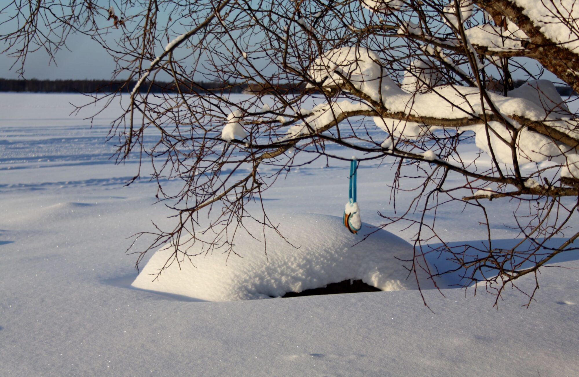 Valokuvaaja: Pirkko Siukonen