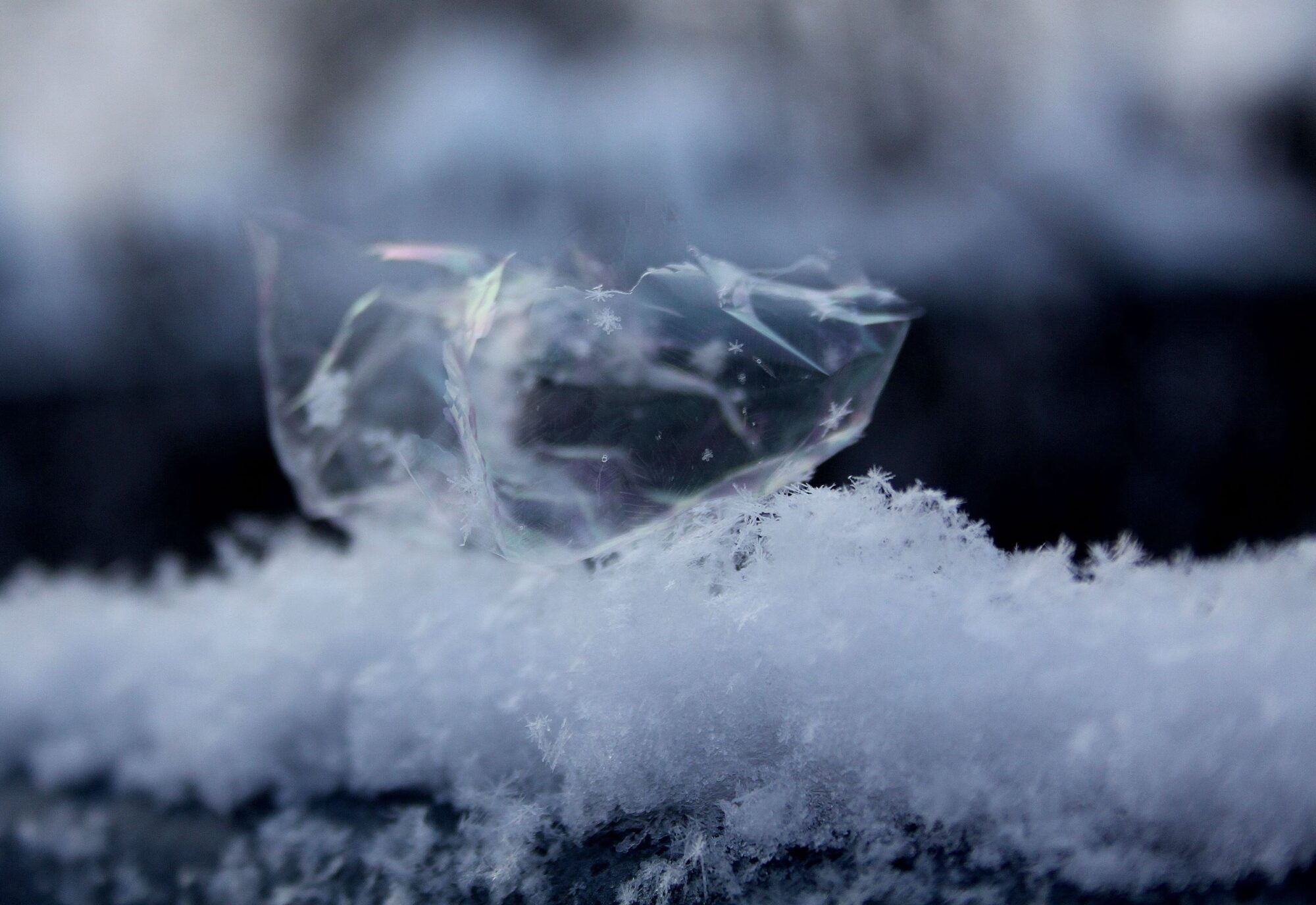 Valokuvaaja: Pirkko Siukonen