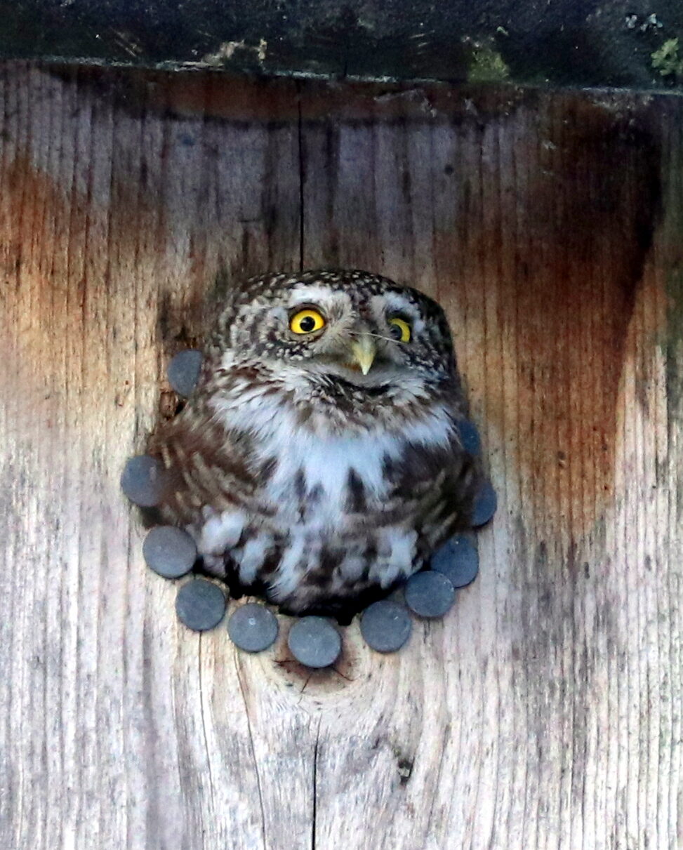 Valokuvaaja: Eija Soimola