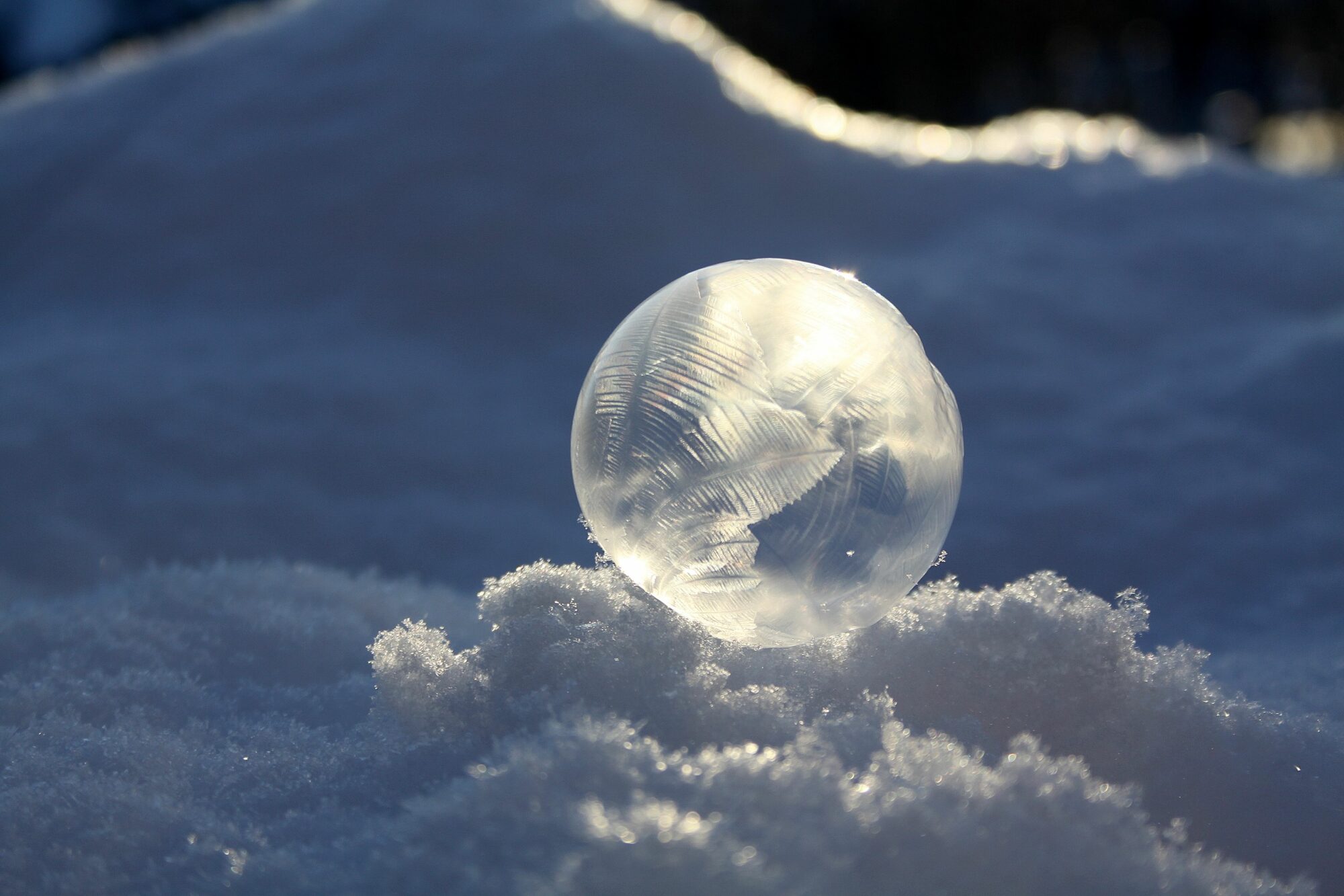 Valokuvaaja: Pirkko Siukonen