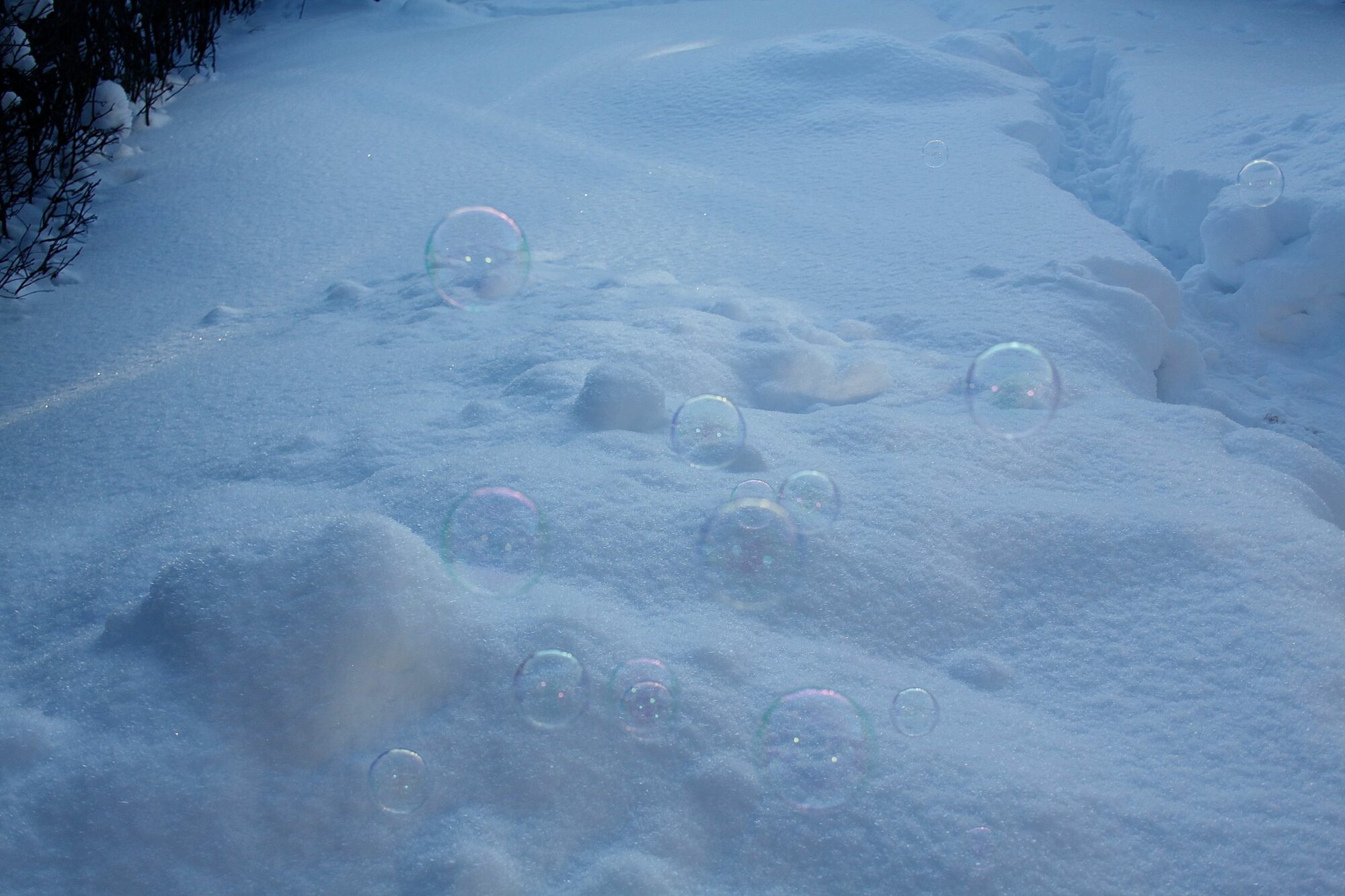 Valokuvaaja: Pirkko Siukonen Valokuvaaja: Pirkko Siukonen