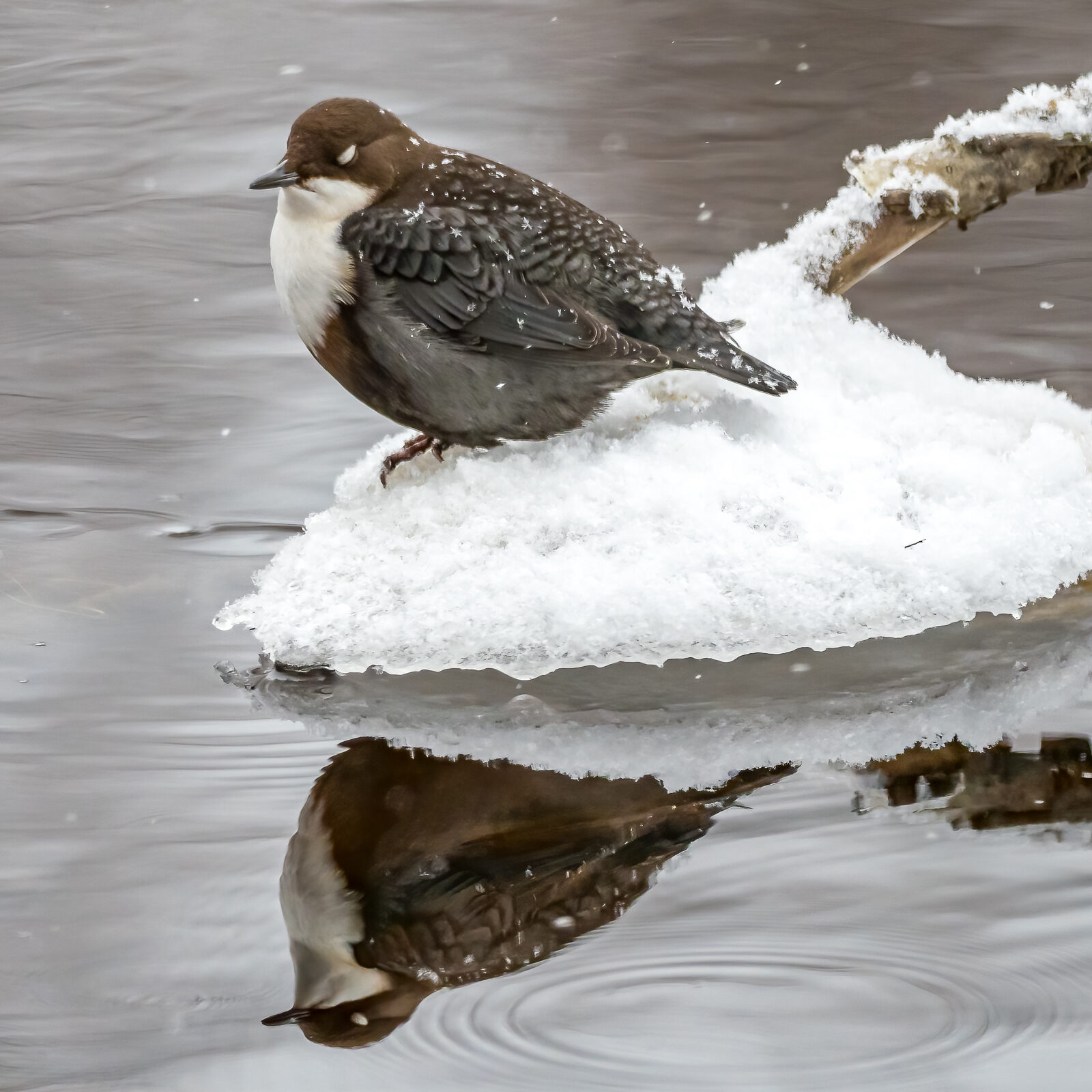 Valokuvaaja: Jukka Luoma