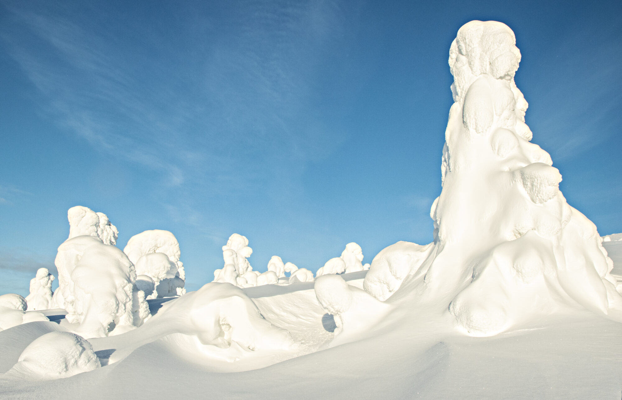 Valokuvaaja: Katri Niskanen