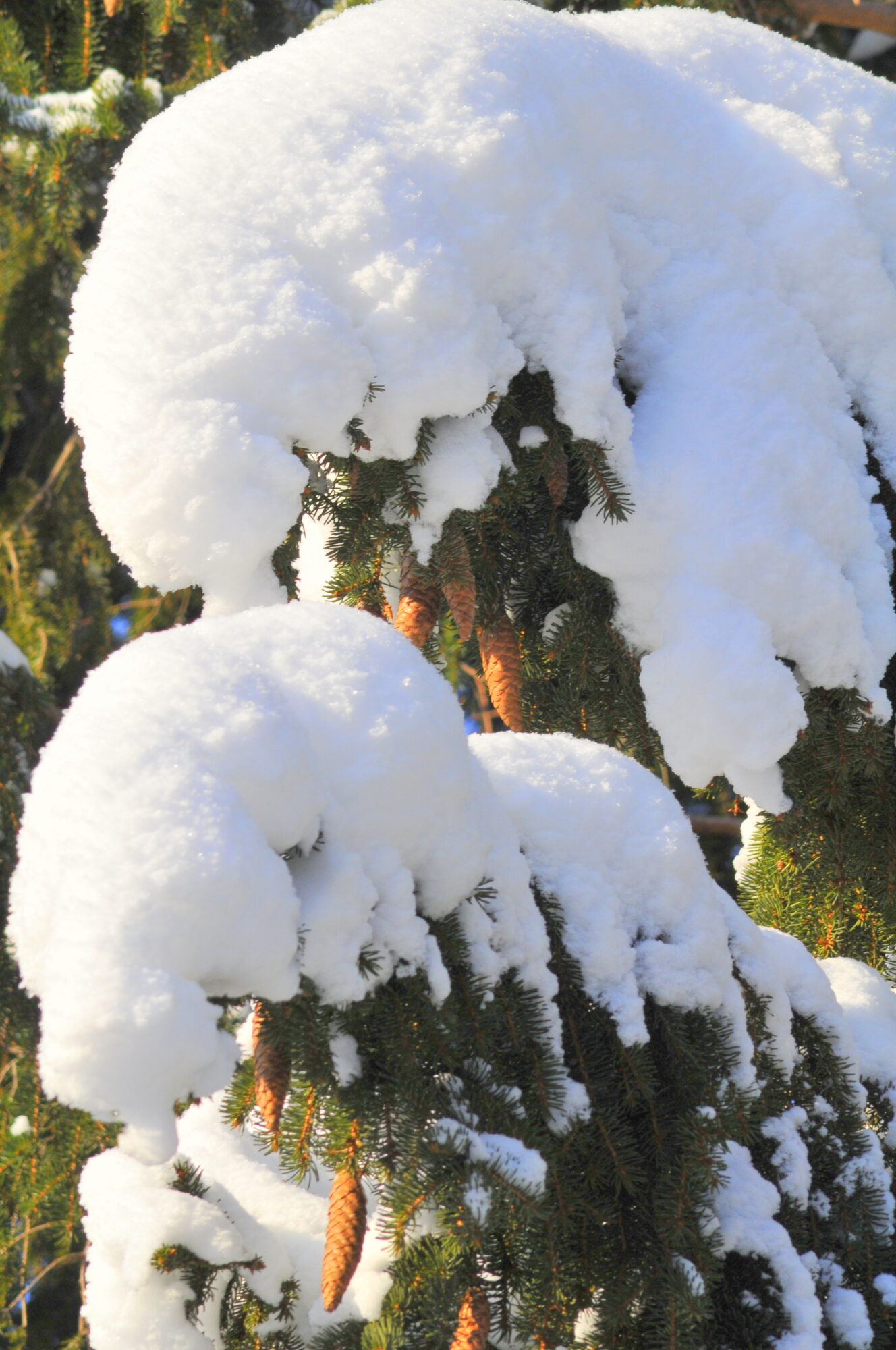 Valokuvaaja: Kaarlo Asikainen