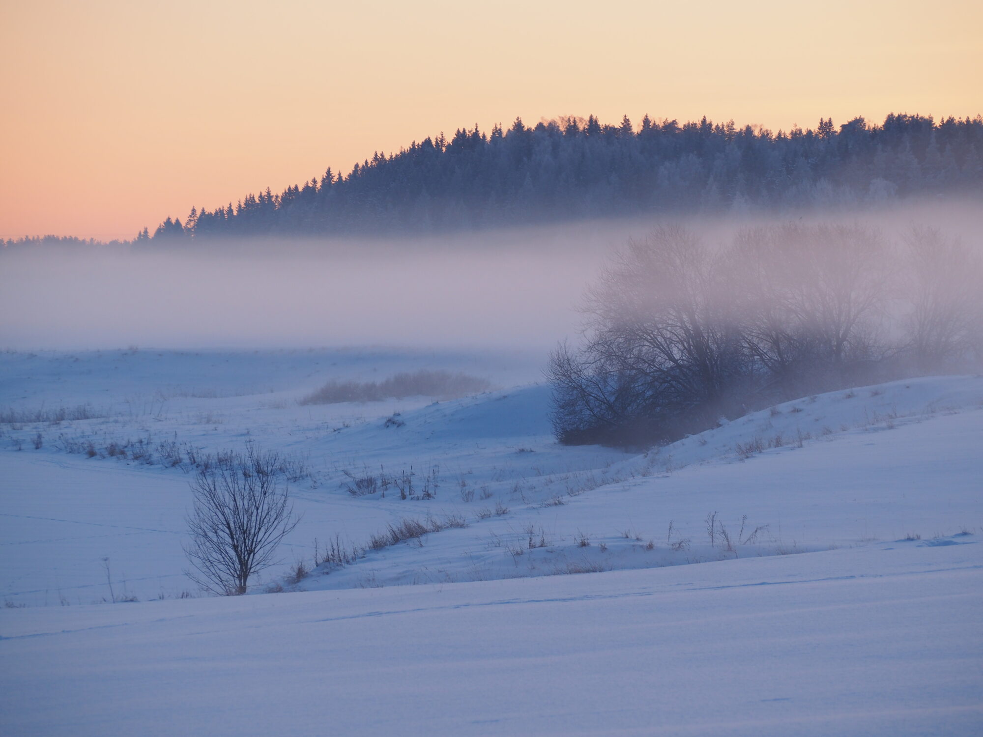 Valokuvaaja: Jenni Kauppinen