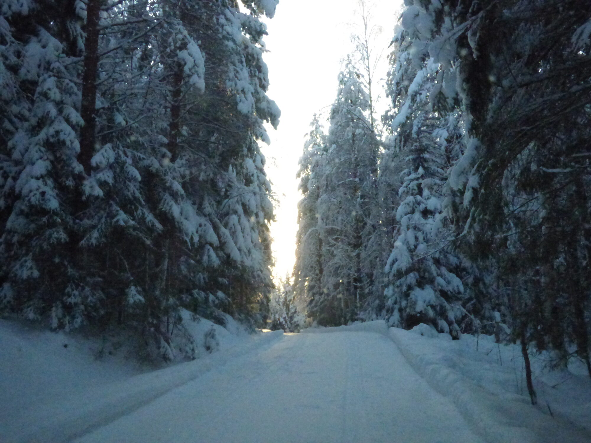 Valokuvaaja: Hannu Rissanen