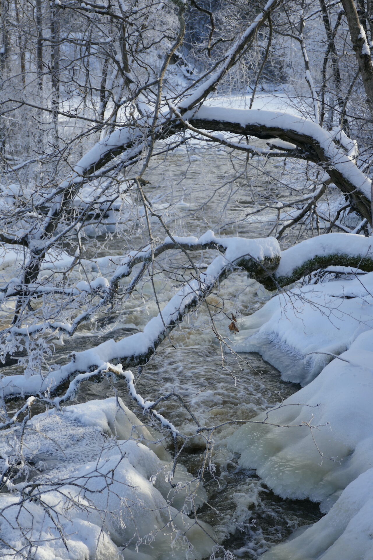 Valokuvaaja: Marjut Ikonen