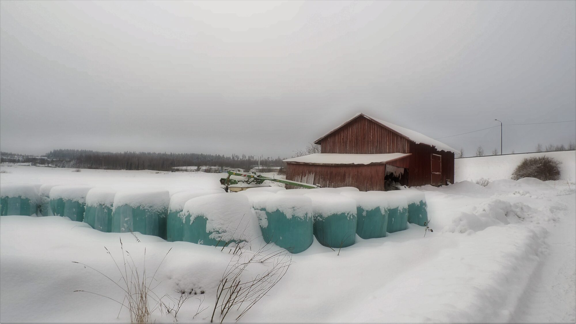 Valokuvaaja: Arja Valtonen