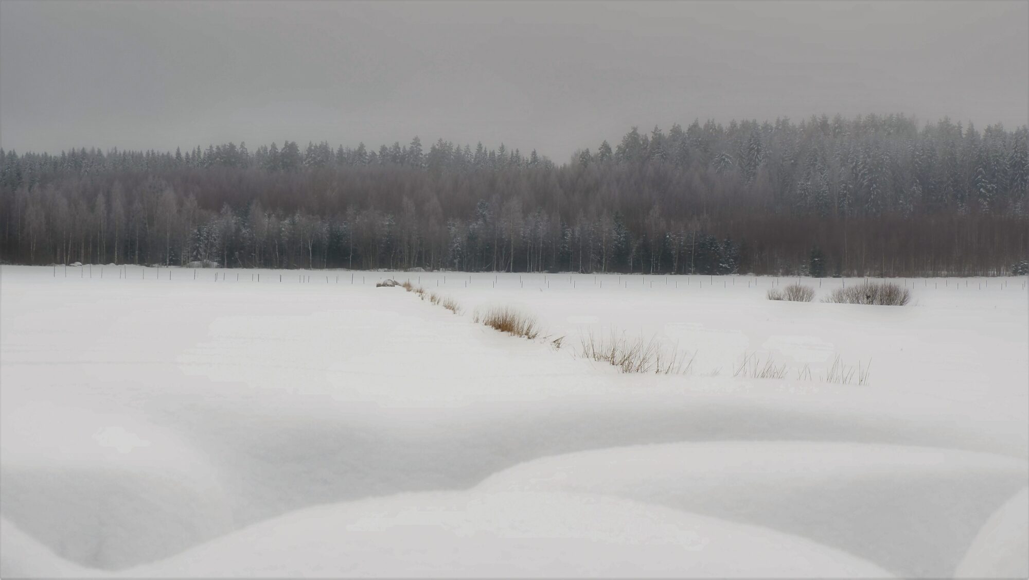 Valokuvaaja: Arja Valtonen Valokuvaaja: Arja Valtonen