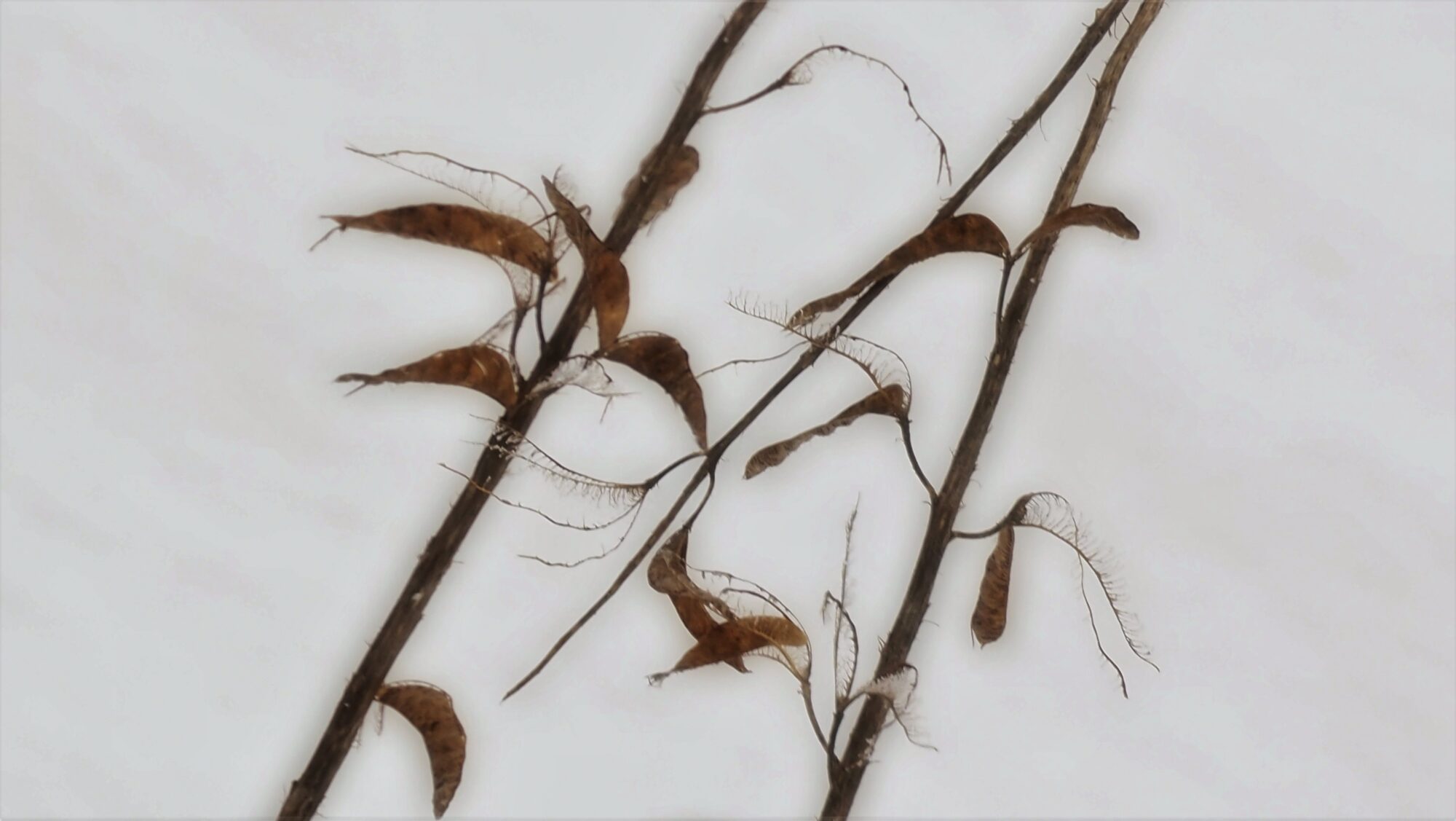 Valokuvaaja: Arja Valtonen