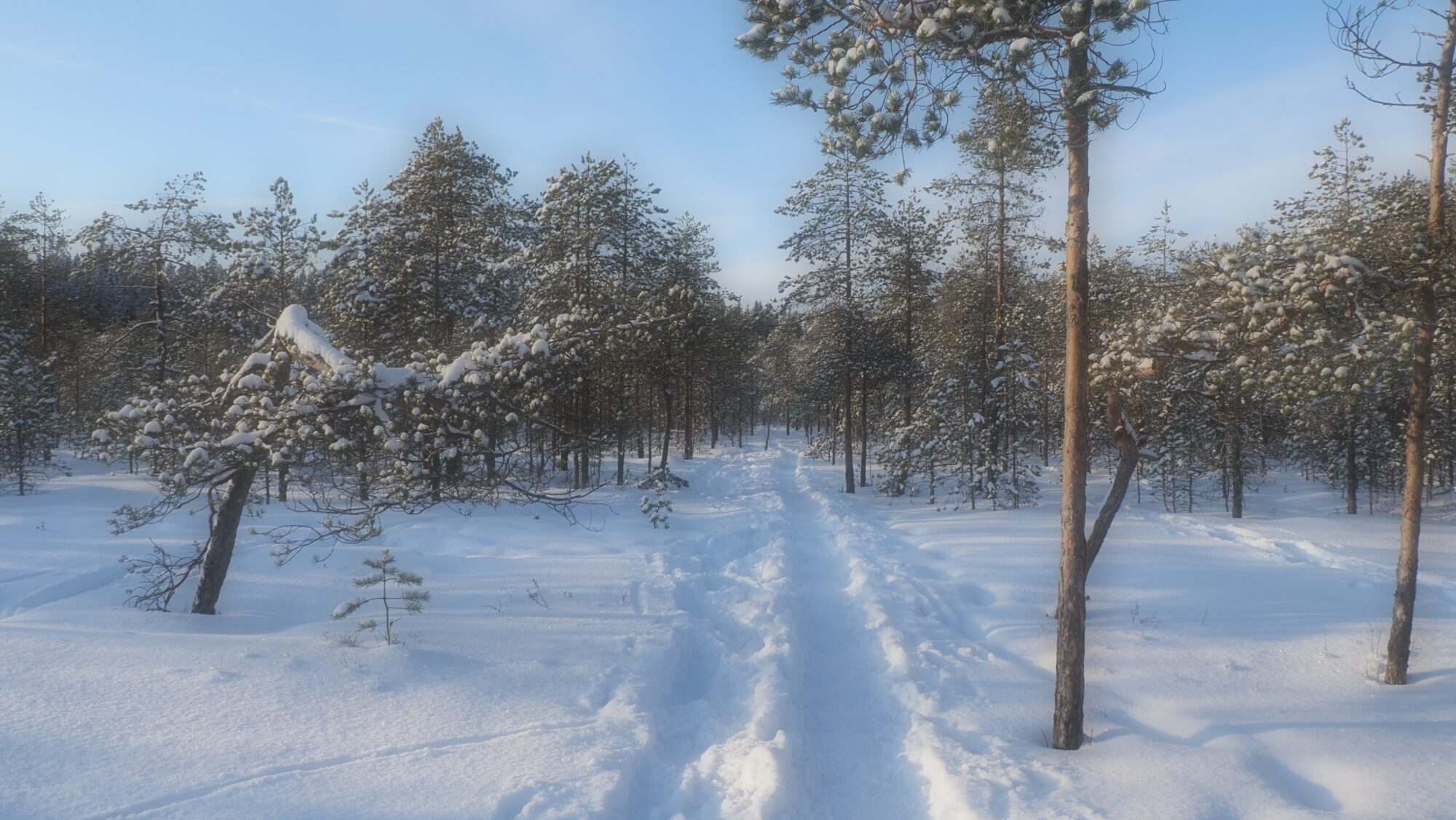 Valokuvaaja: Arja Valtonen