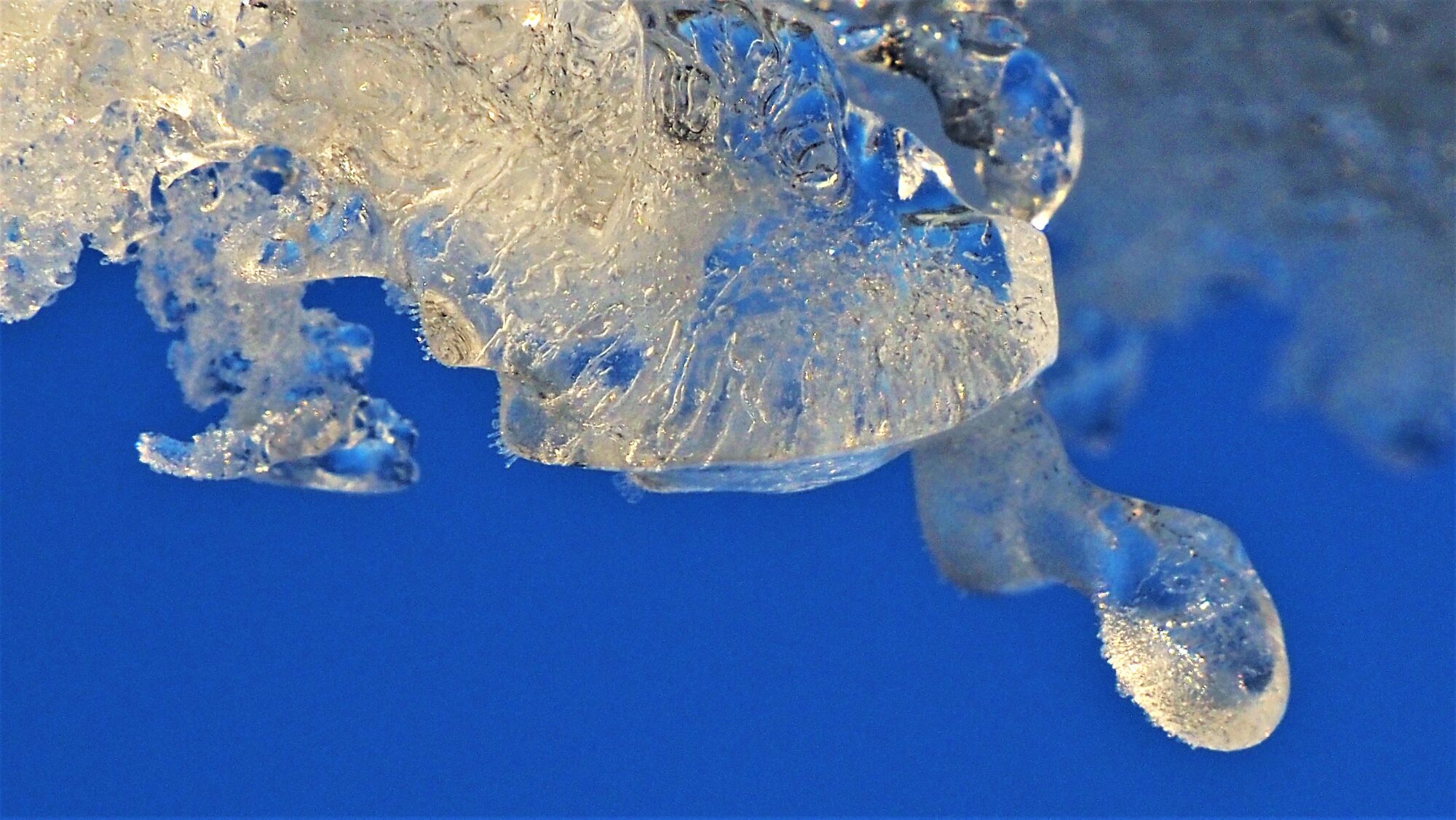 Valokuvaaja: Arja Valtonen