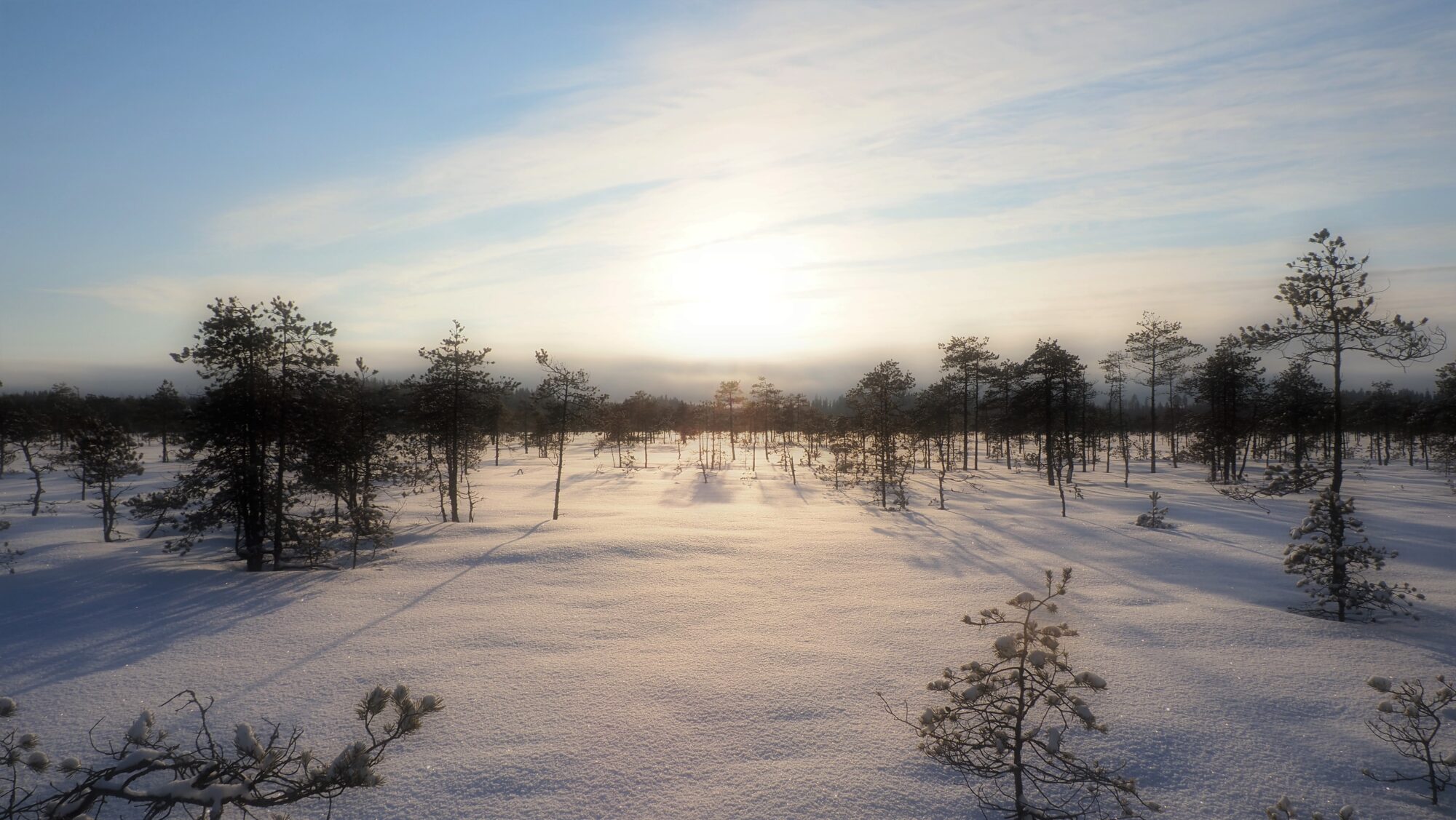 Valokuvaaja: Arja Valtonen