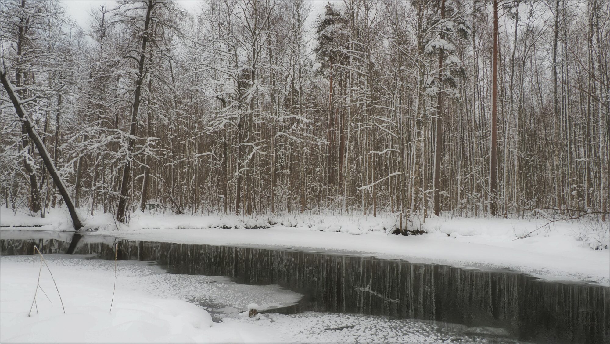 Valokuvaaja: Arja Valtonen Valokuvaaja: Arja Valtonen