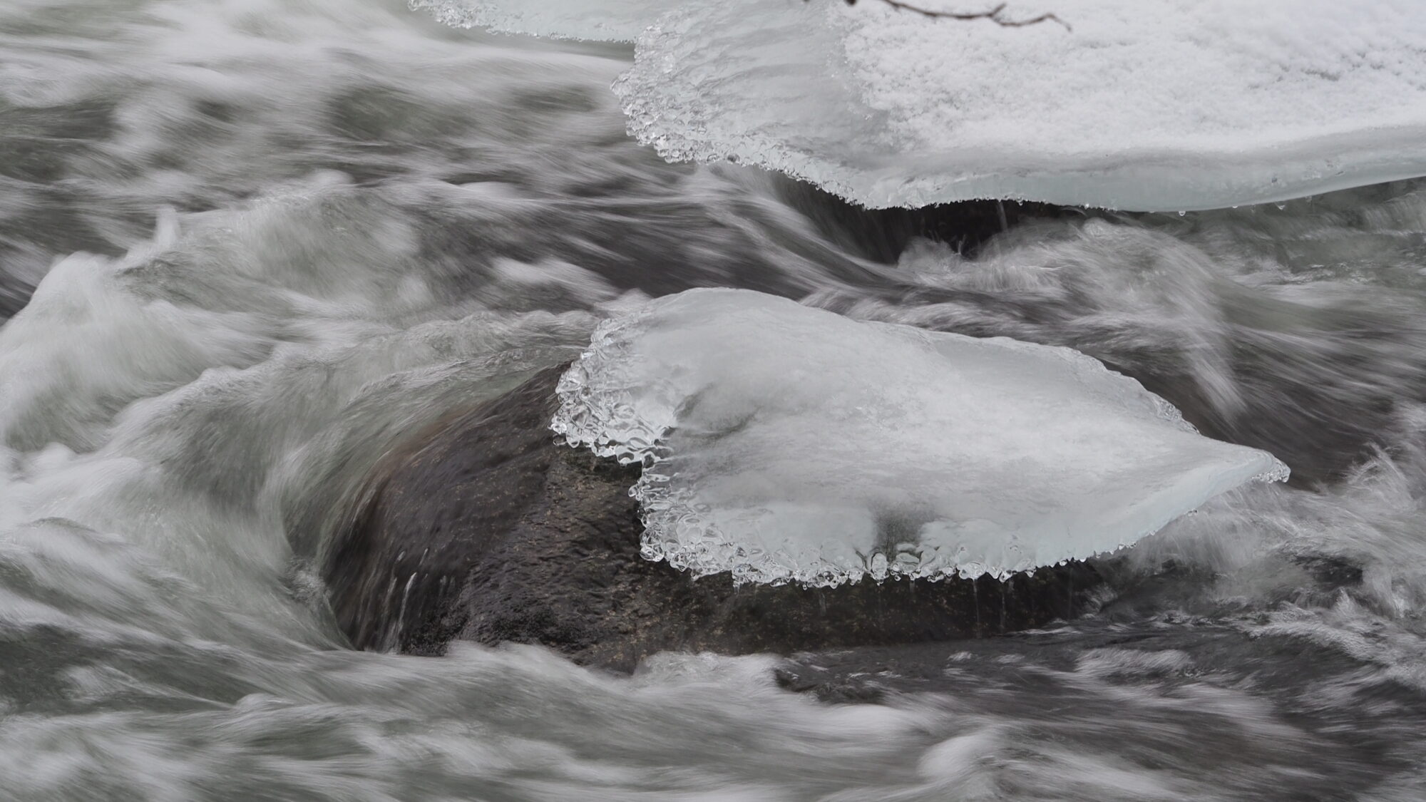 Valokuvaaja: Martti Valtonen