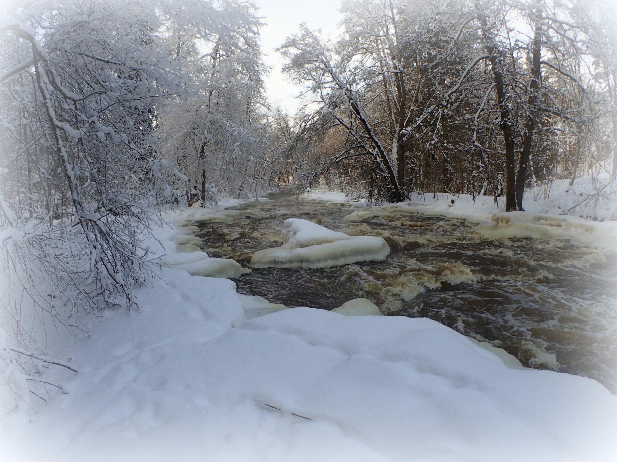Valokuvaaja: Kari Aaltonen