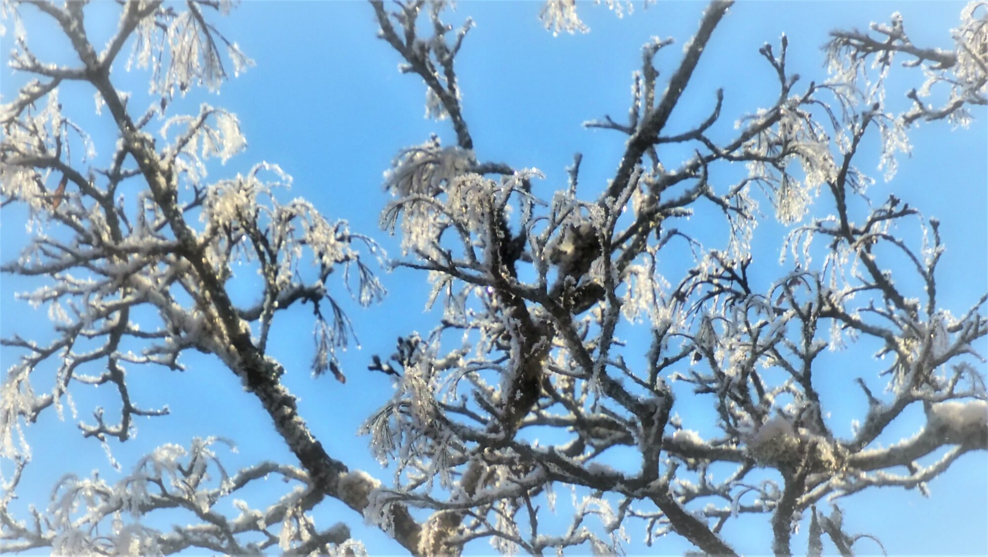 Valokuvaaja: Arja Valtonen