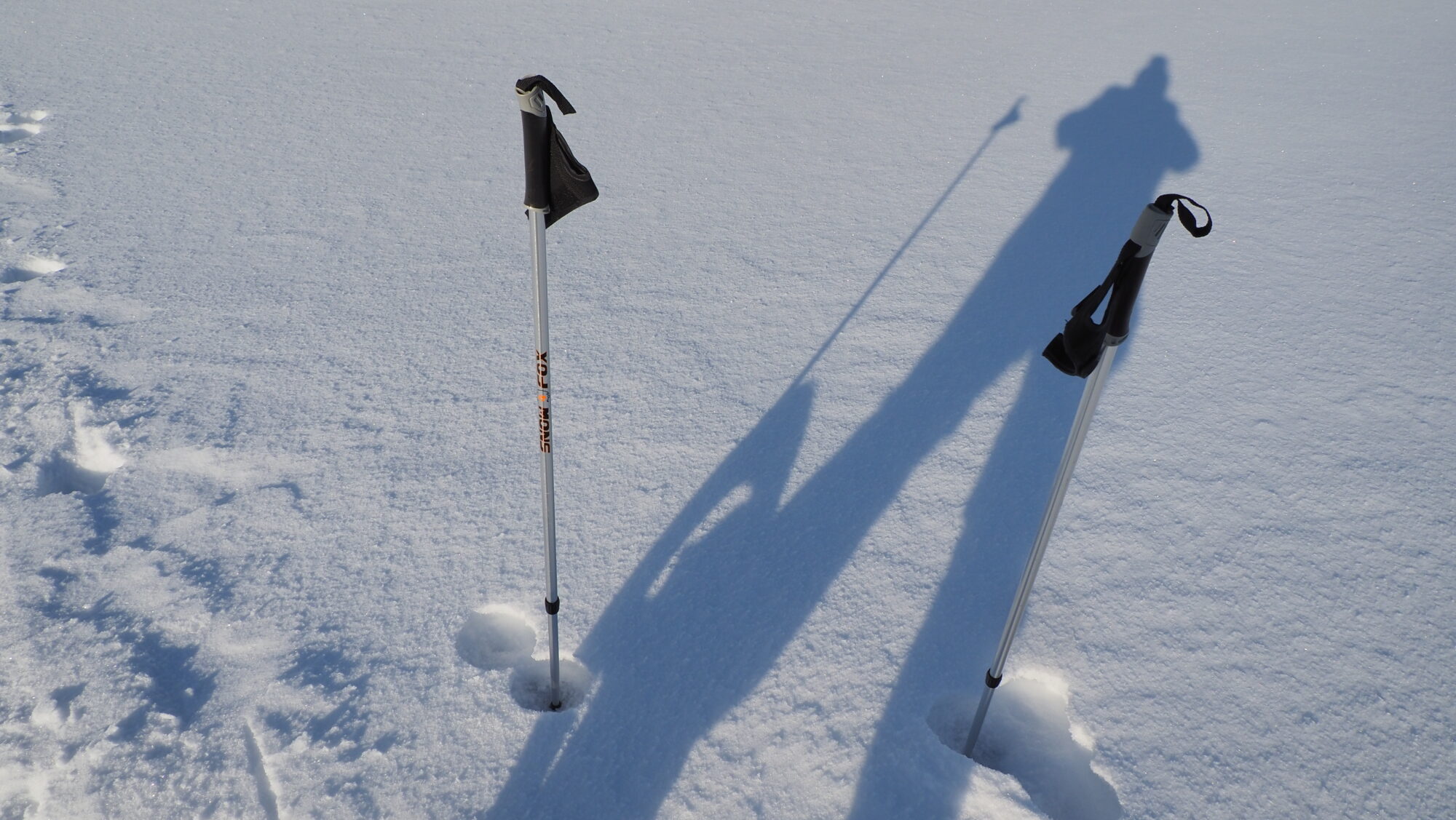 Valokuvaaja: Arja Valtonen