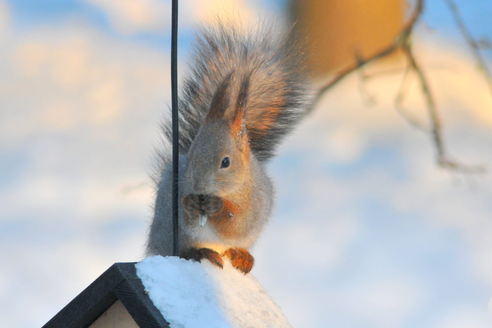 Valokuvaaja: Kaarlo Asikainen