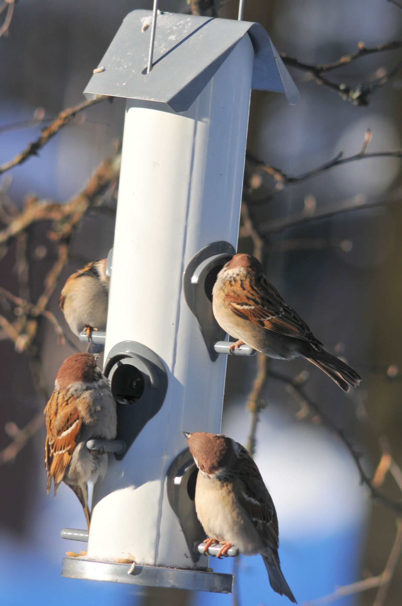 Valokuvaaja: Kaarlo Asikainen