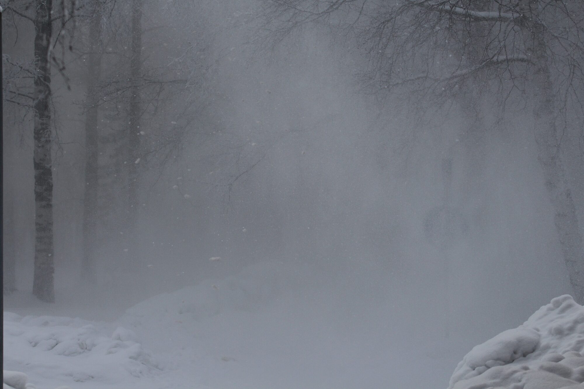 Valokuvaaja: Jaana Saarelainen