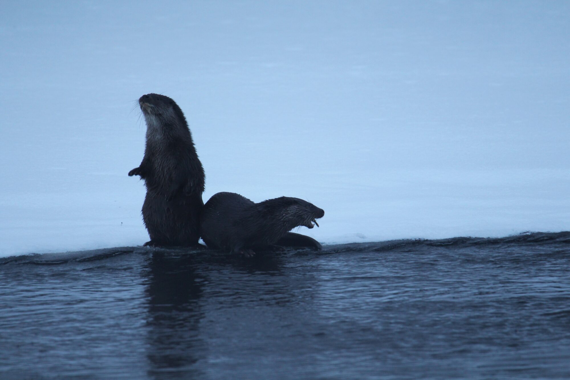 Valokuvaaja: Jaana Saarelainen