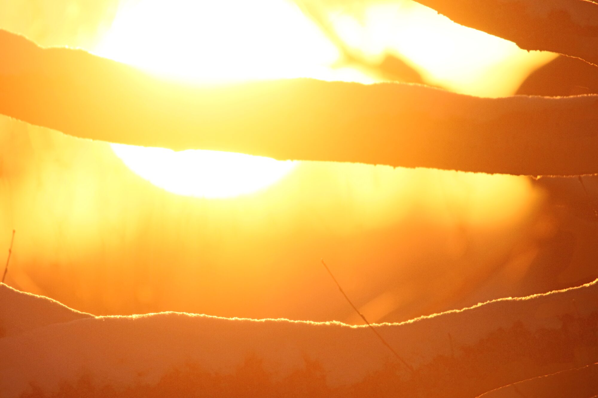 Valokuvaaja: Jaana Saarelainen